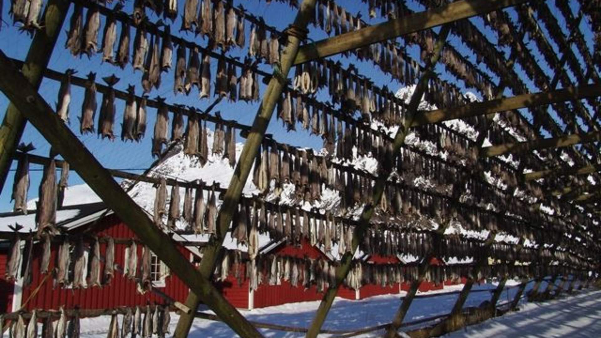 Fishing village walk