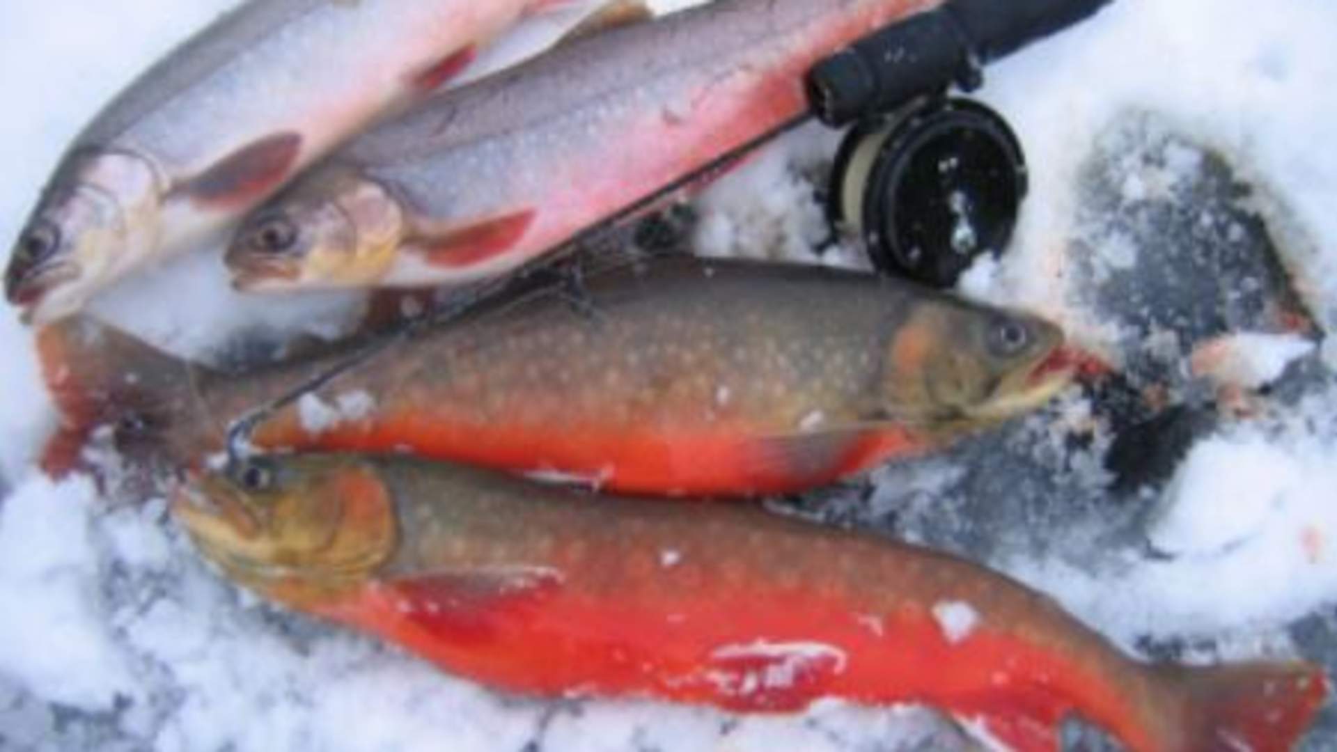 Ice fishing