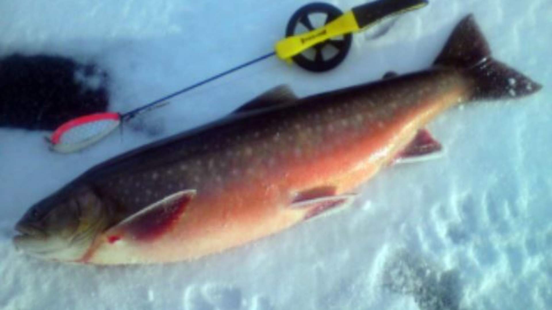 Ice fishing