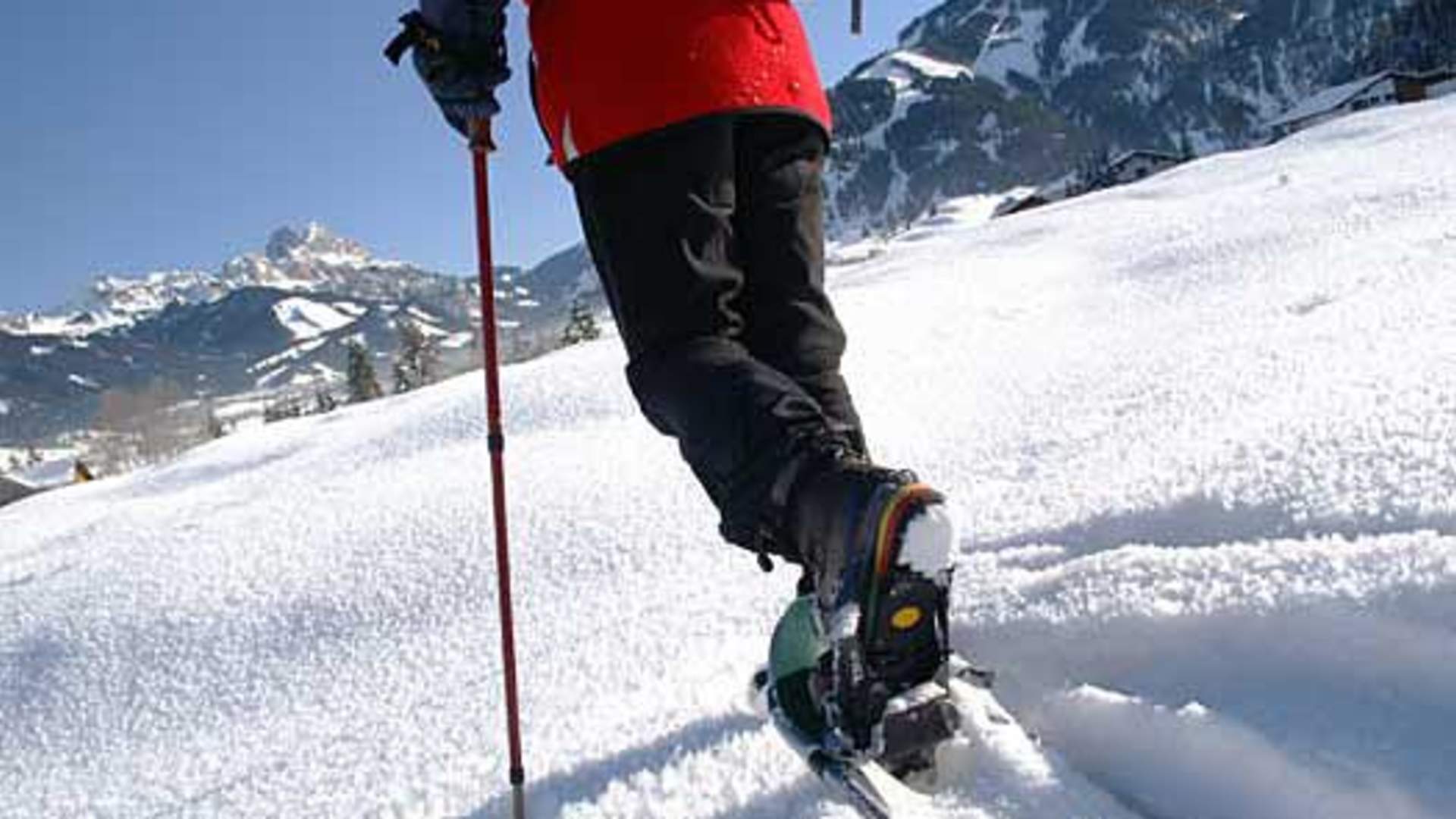 Snowshoe Safari