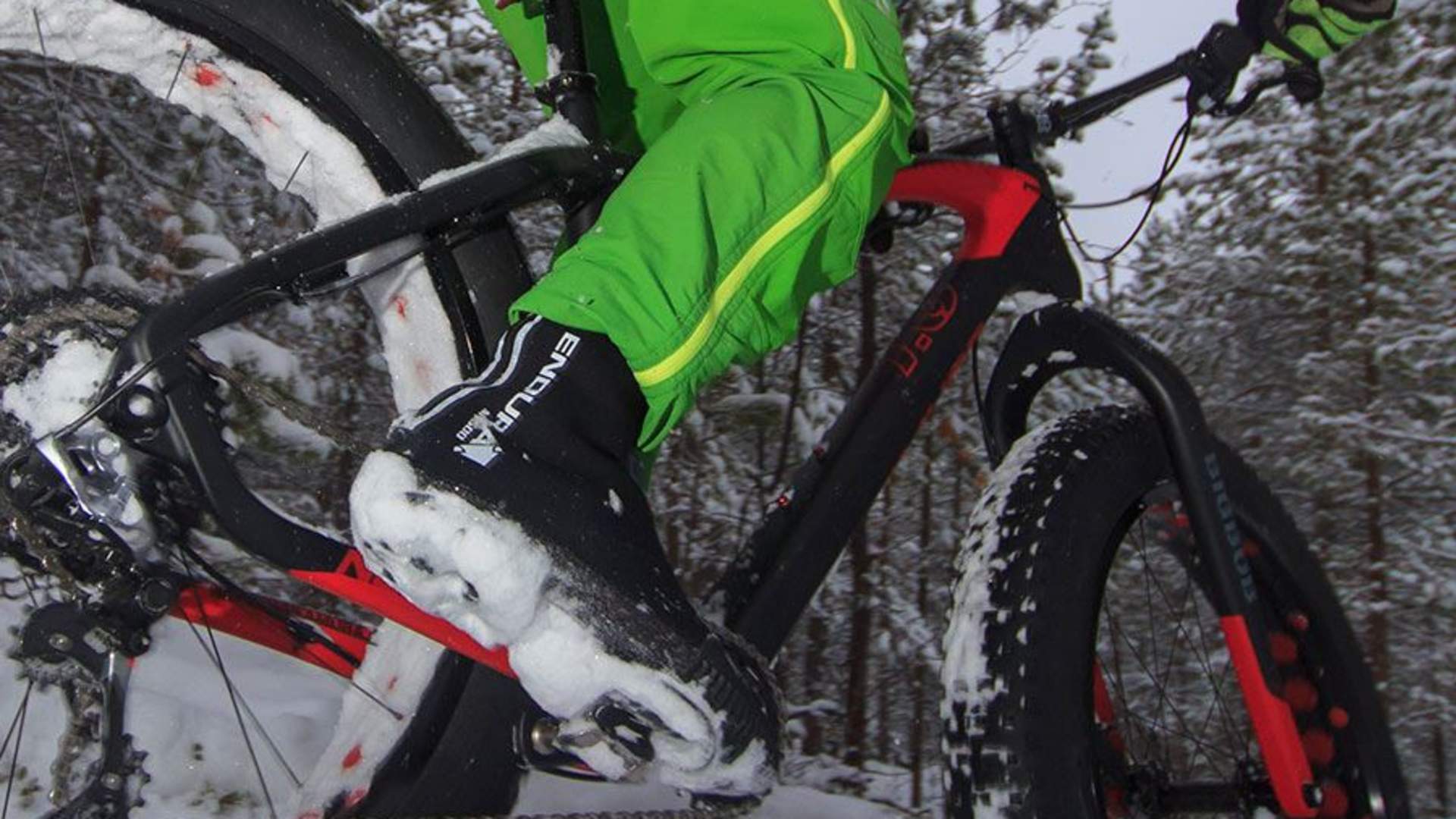 Fatbike