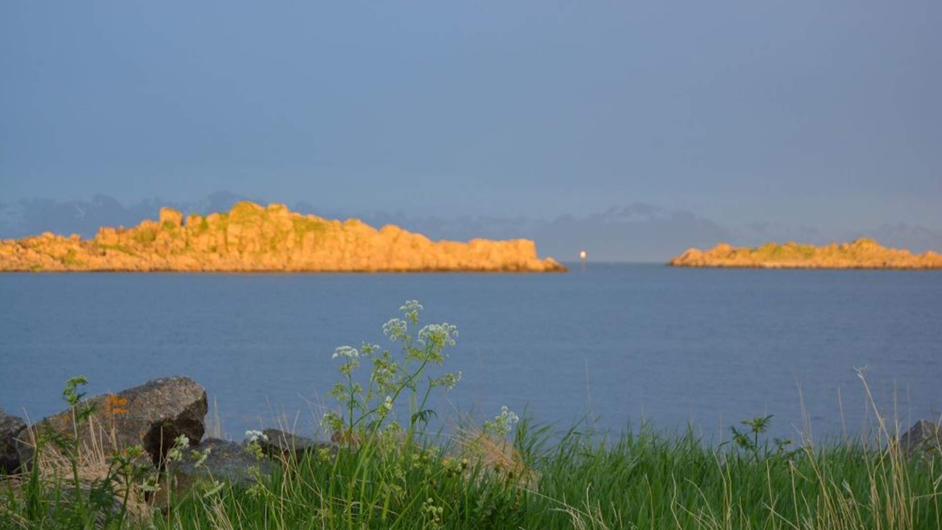 Midnattsol øy