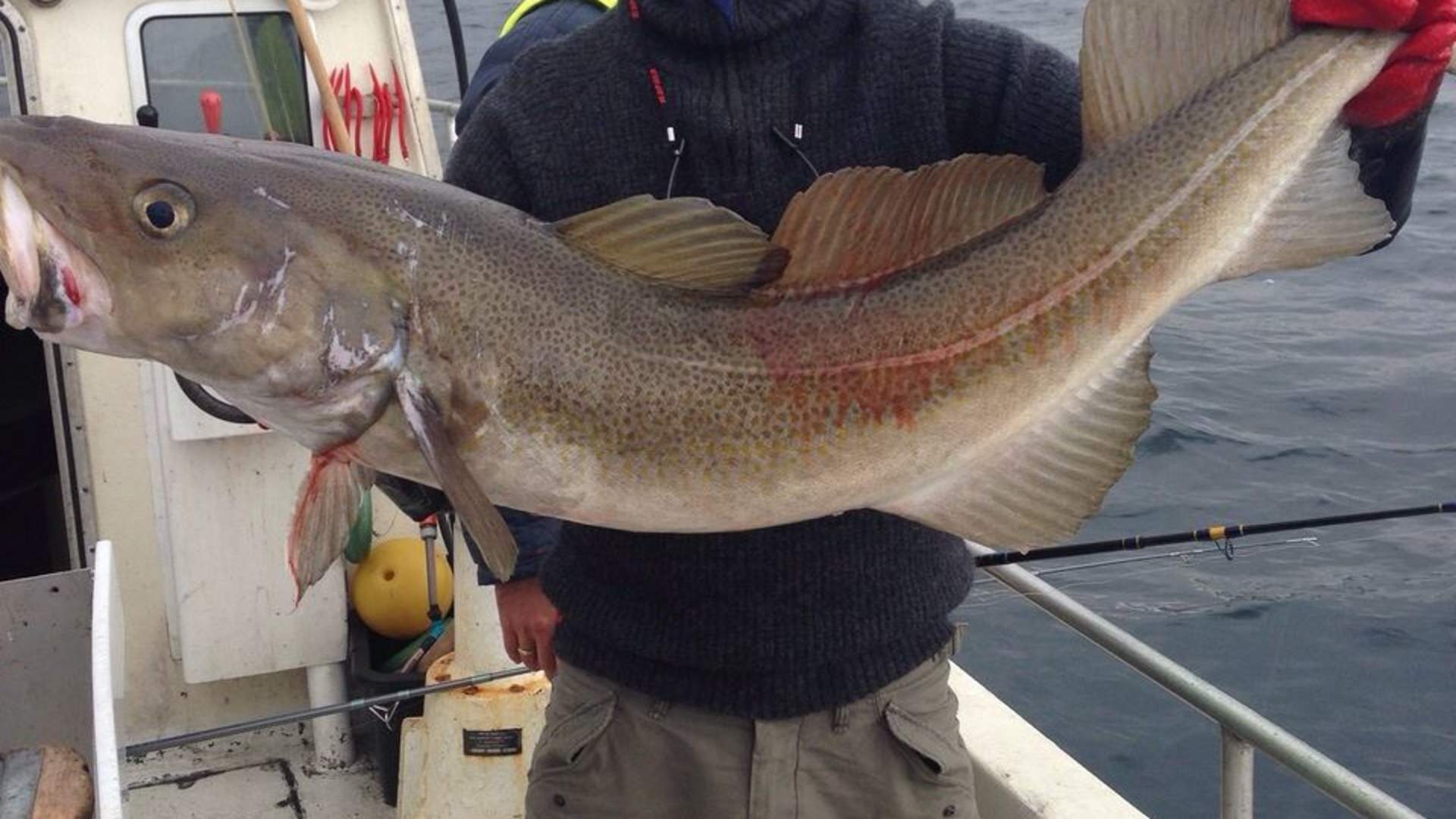 The BIG Fishing Tour
