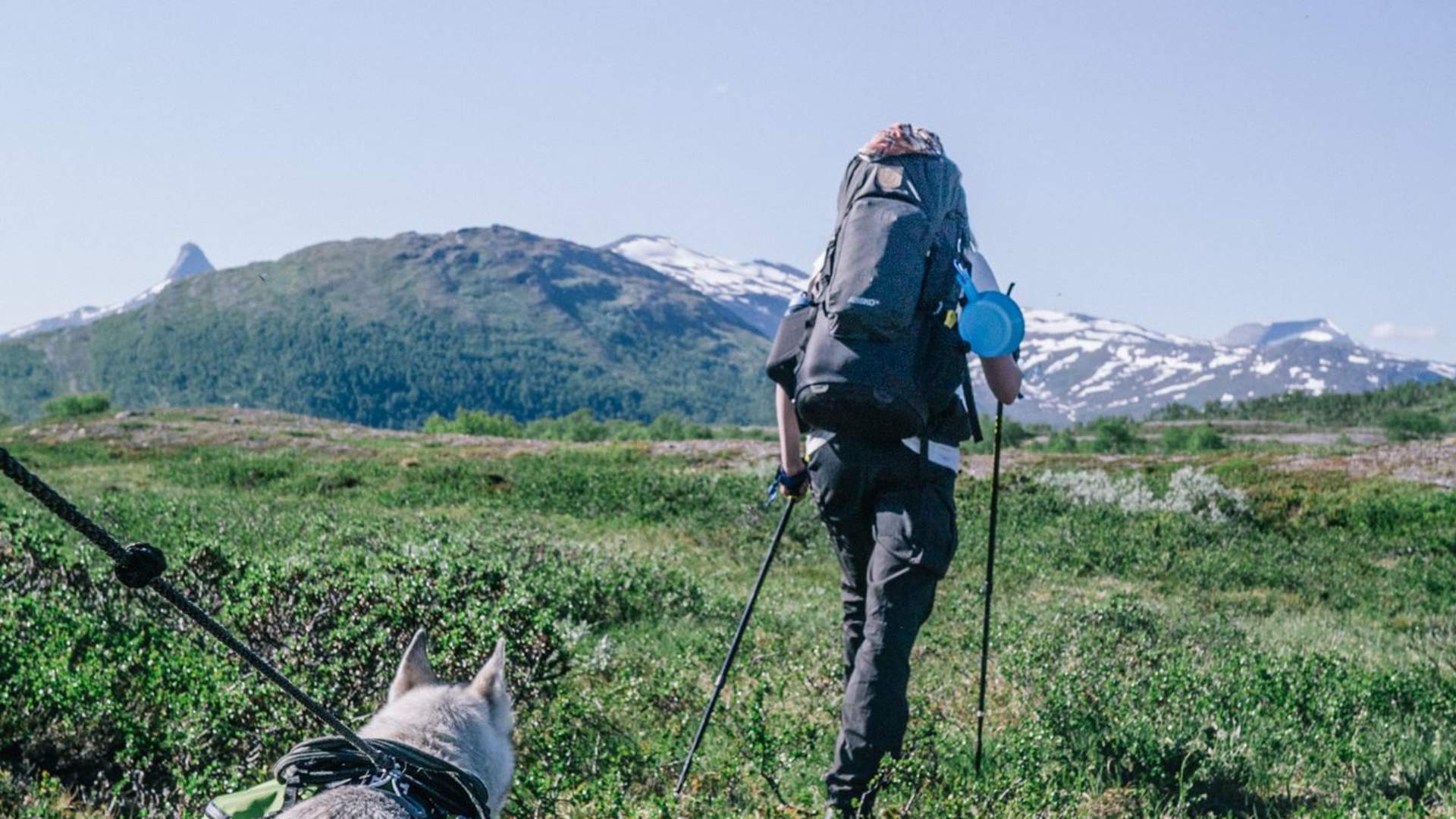 Hiking with huskies - Trasti & Trine