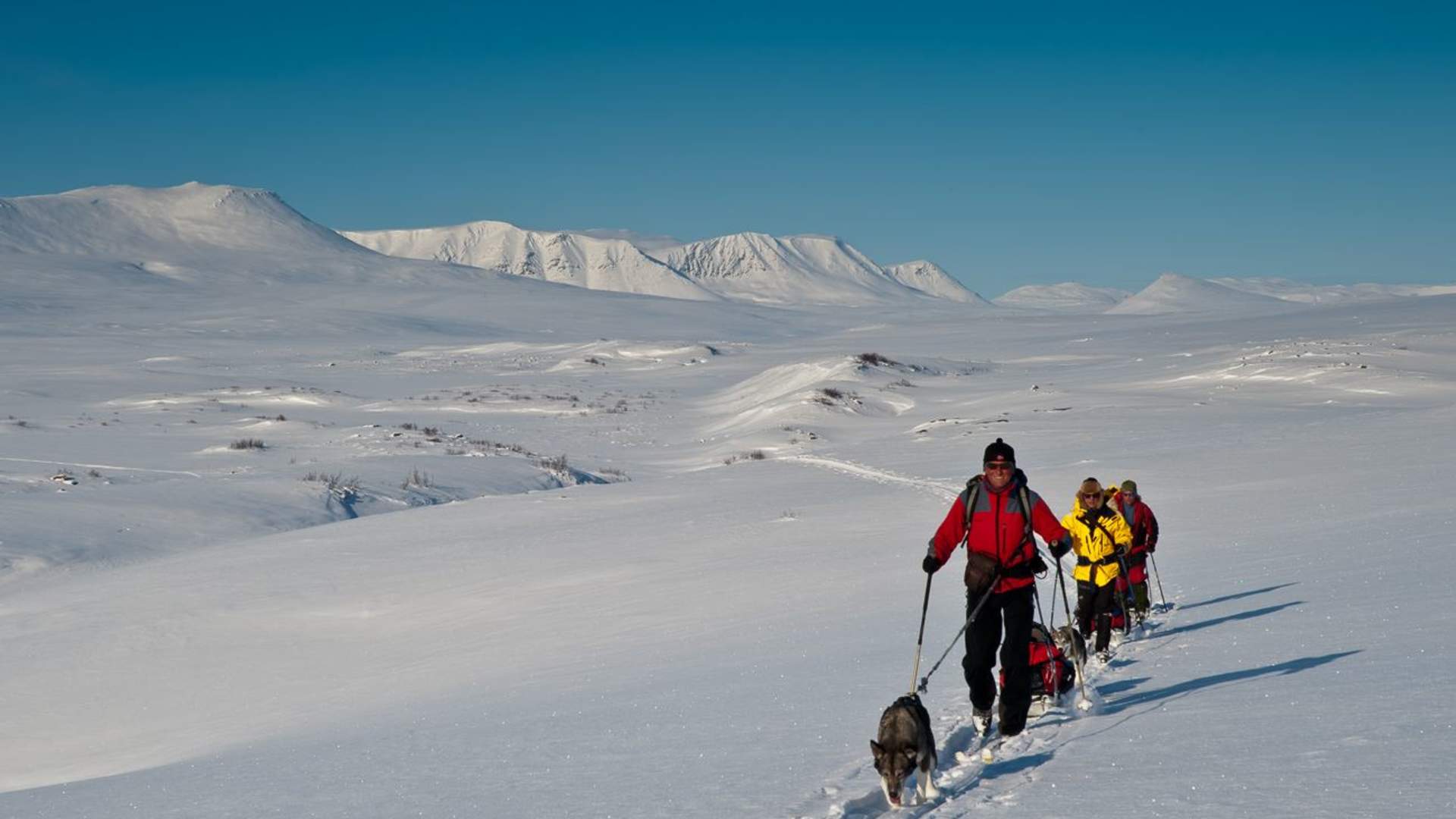9 days - Finnmark Plateau West &#8211; East Skiing Expedition