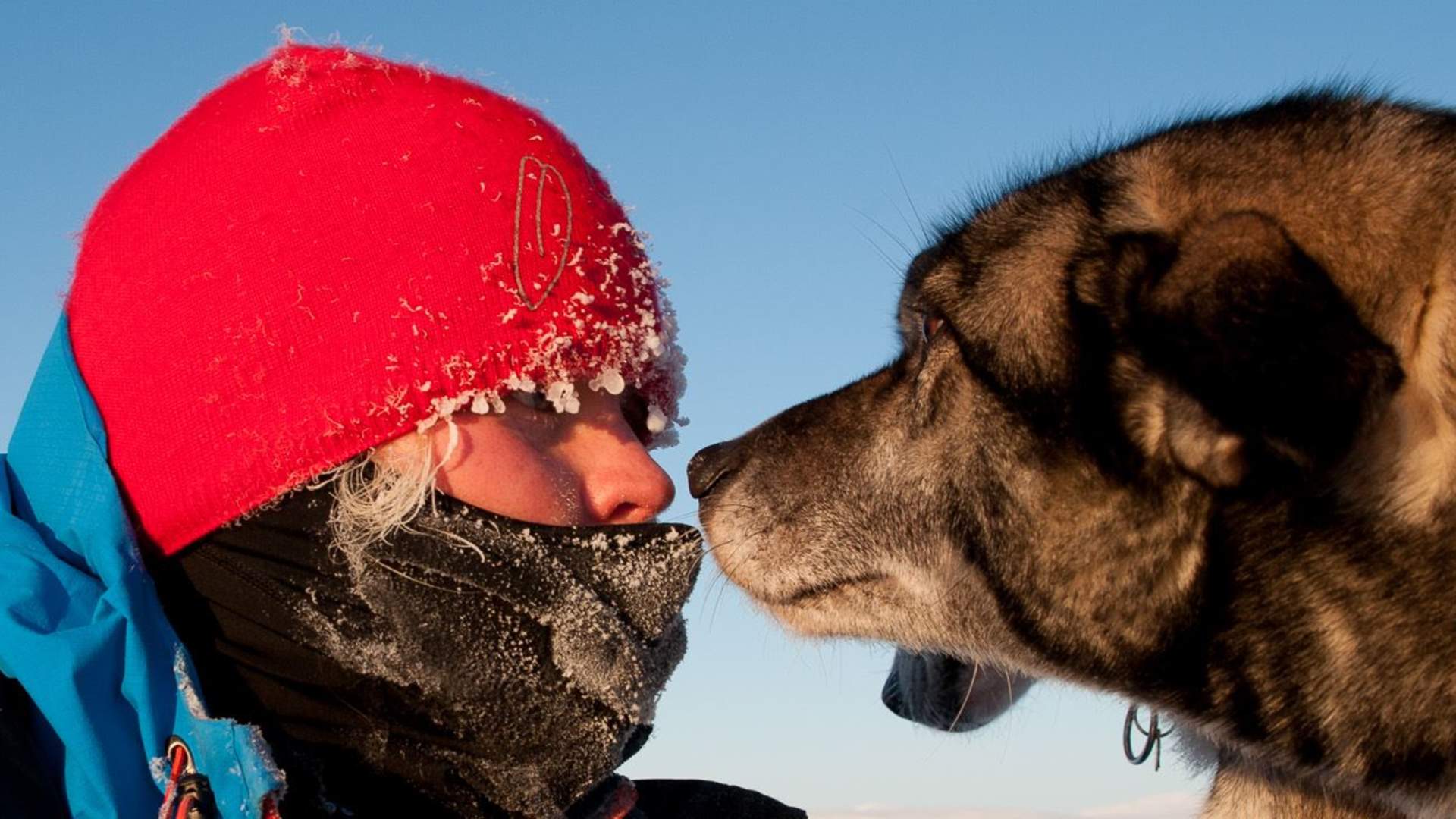 9 days - Finnmark Plateau West &#8211; East Skiing Expedition