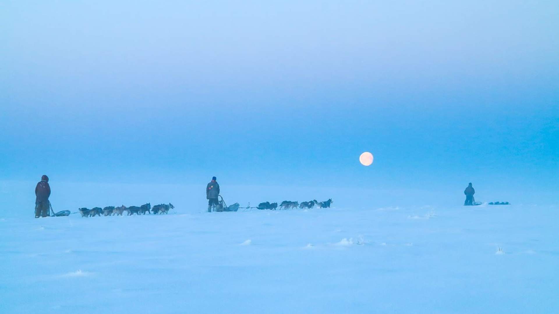 Northern light activity week