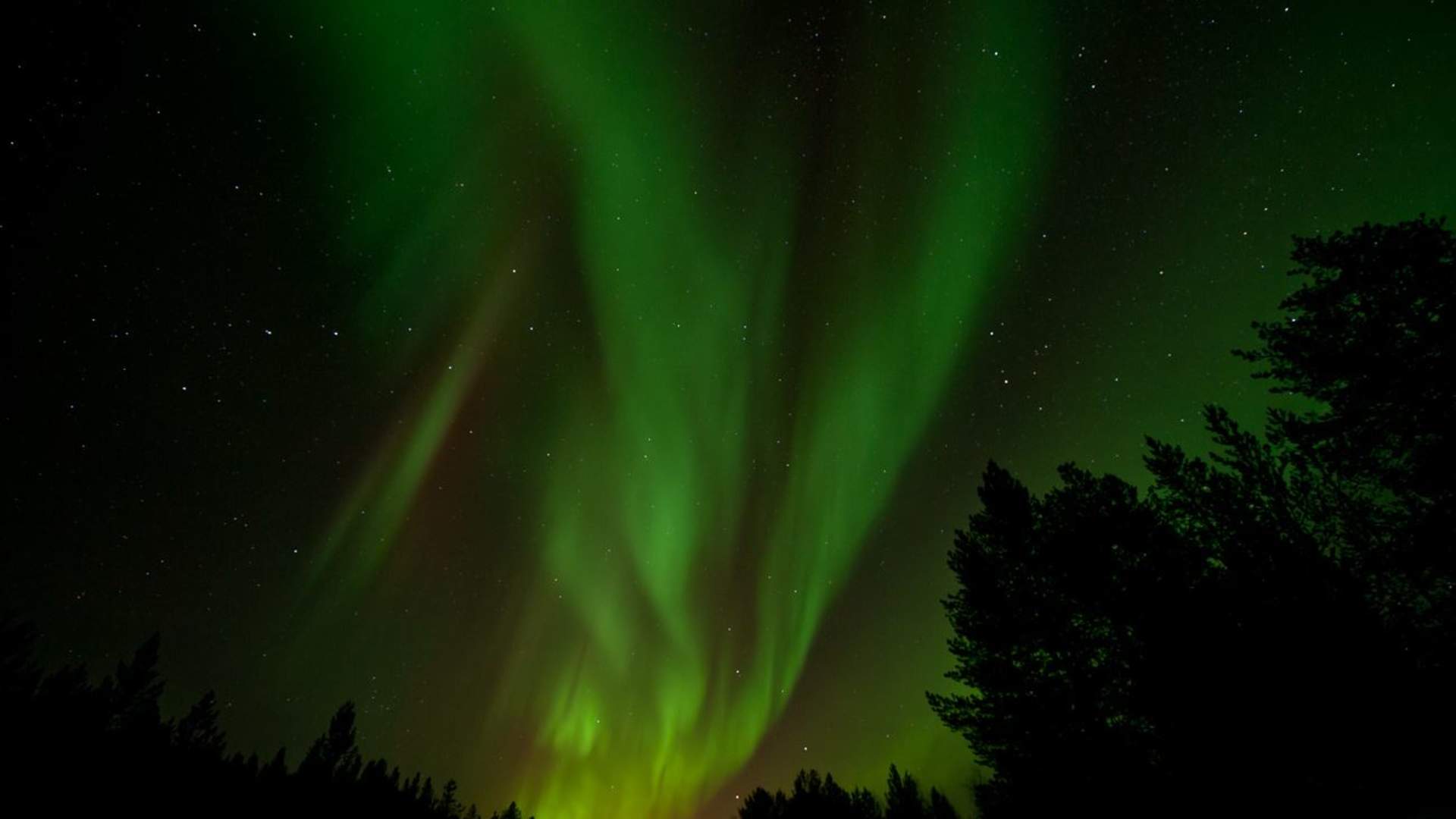 Northern light activity week