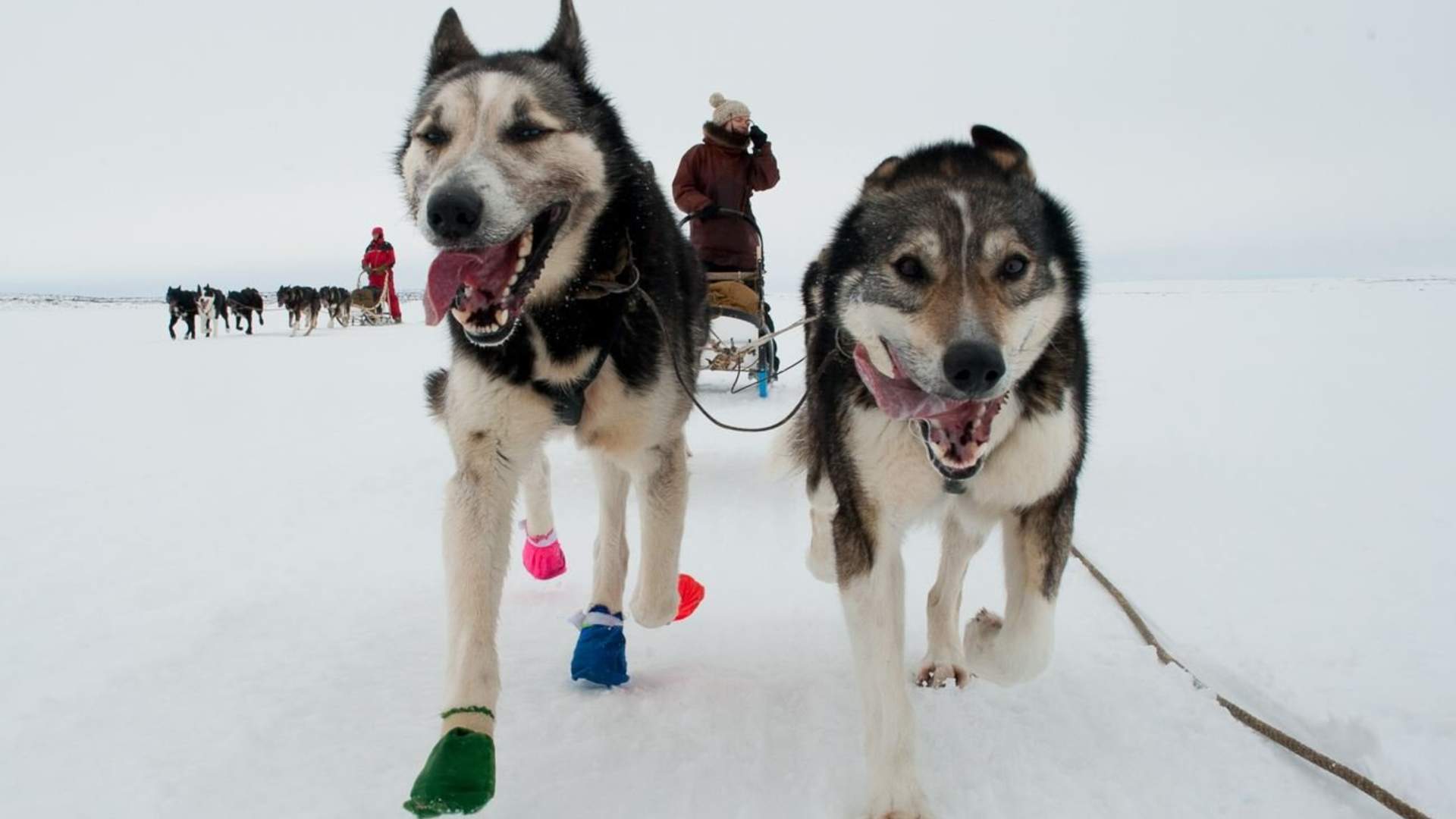 Northern light activity week
