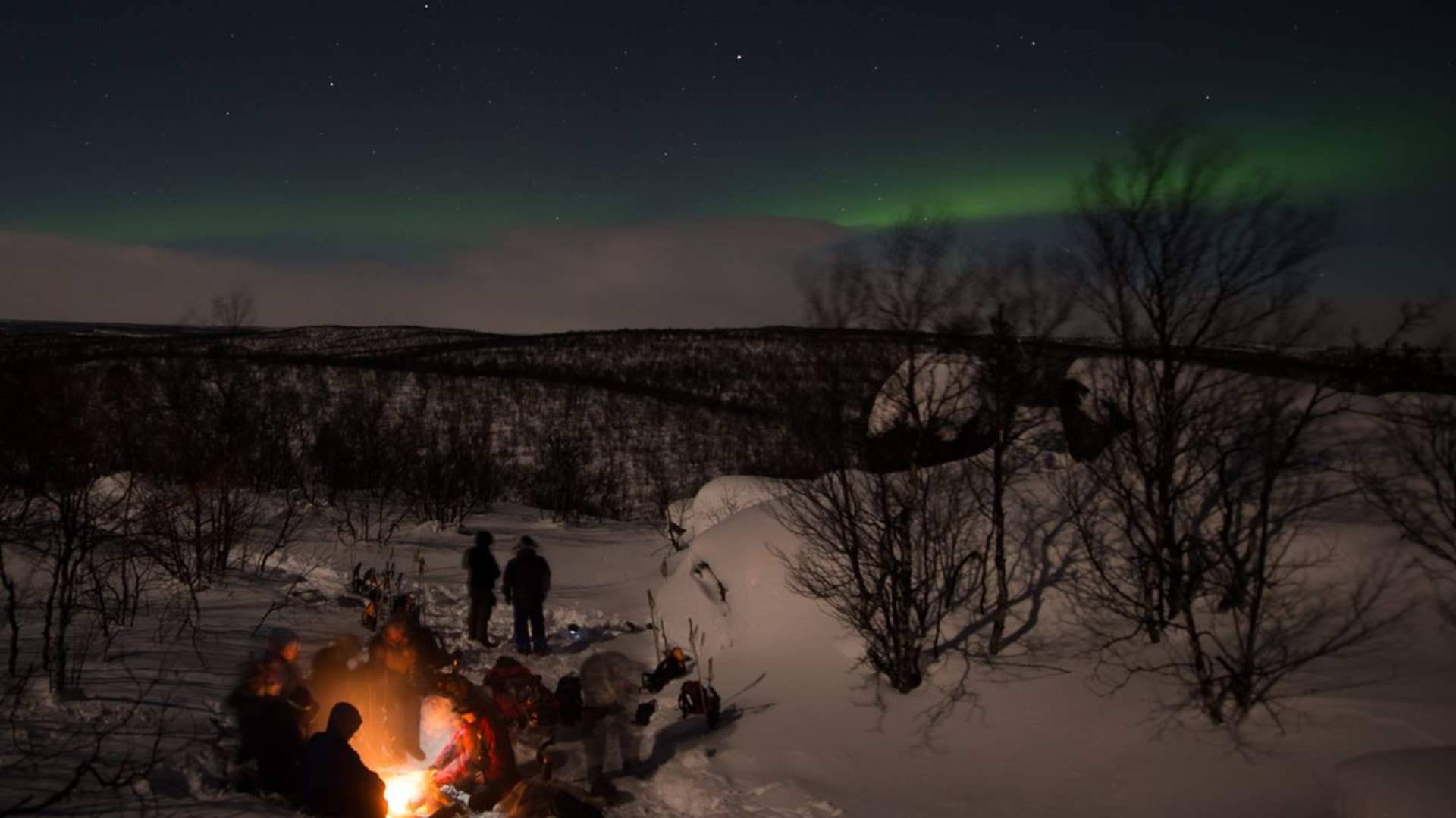 Northern light safari
