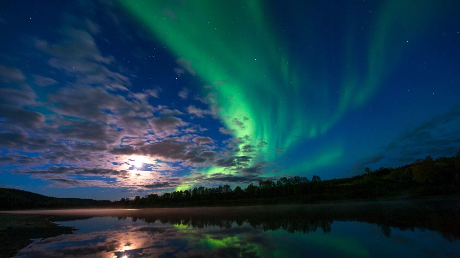 Northern light safari