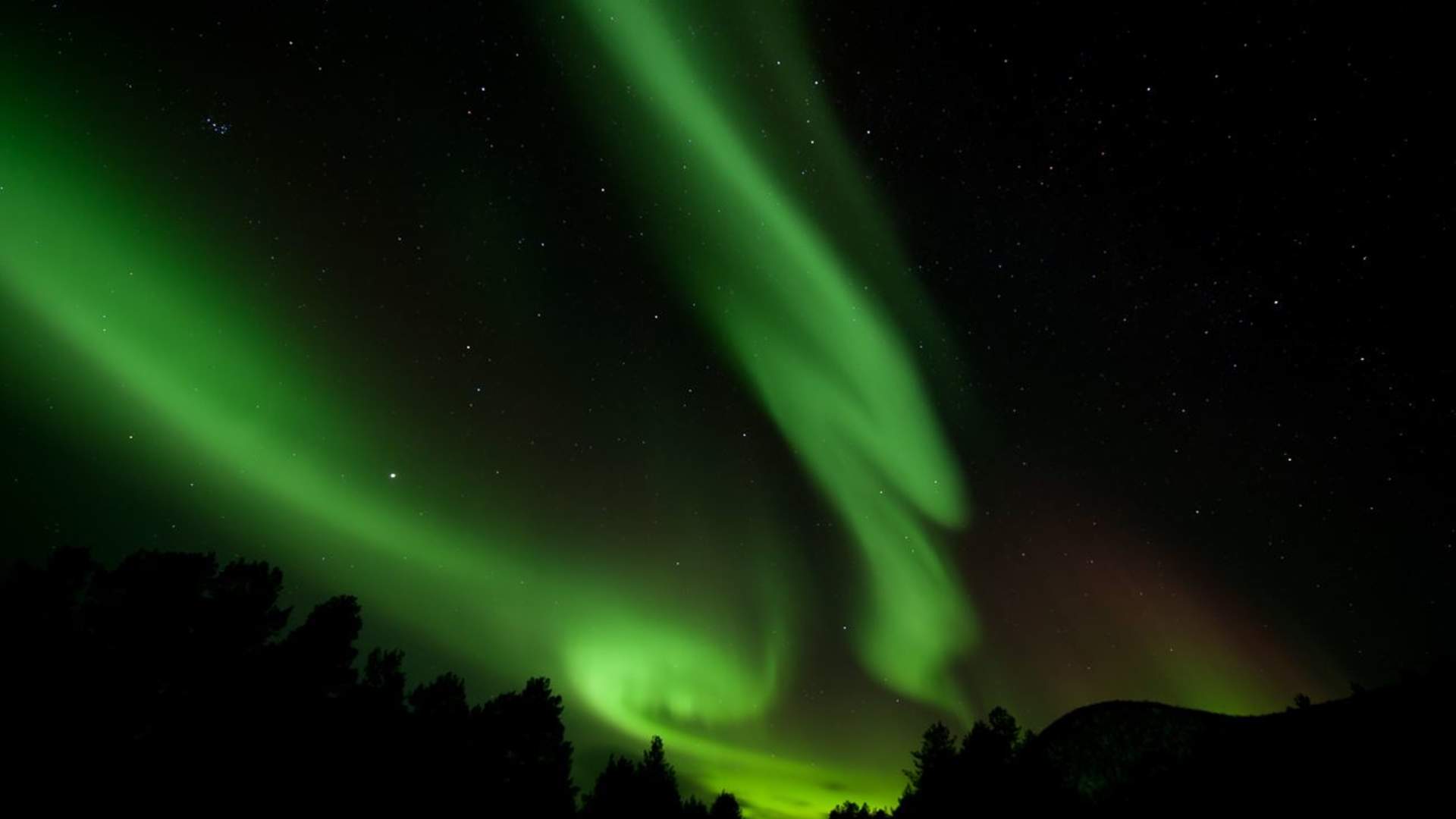 Northern light safari