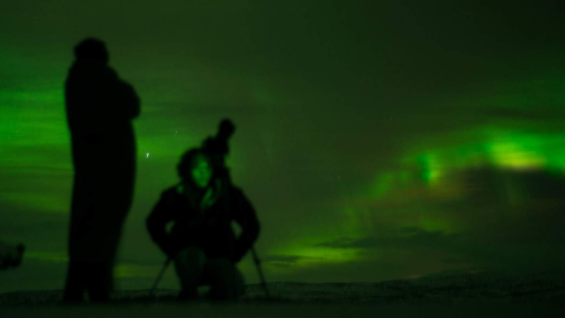 Northern light safari