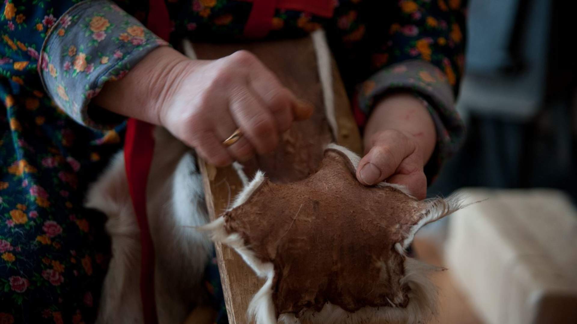 Reindeer herder experience