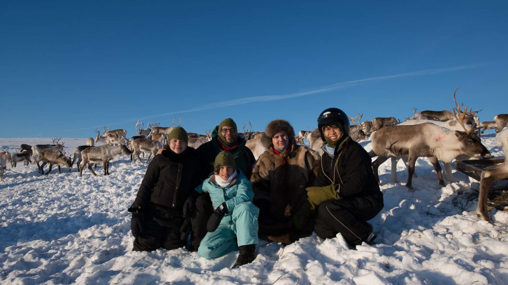 Reindeer herder experience