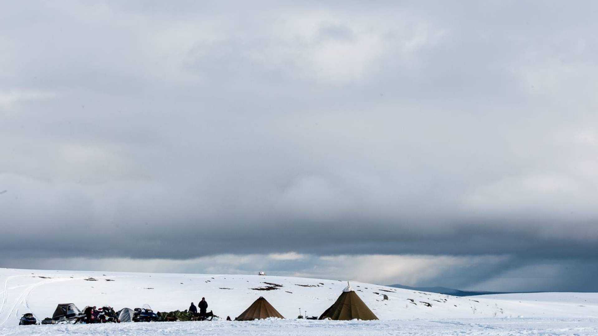 8 days - Sámi reindeer spring migration &#8211; Tour of a lifetime
