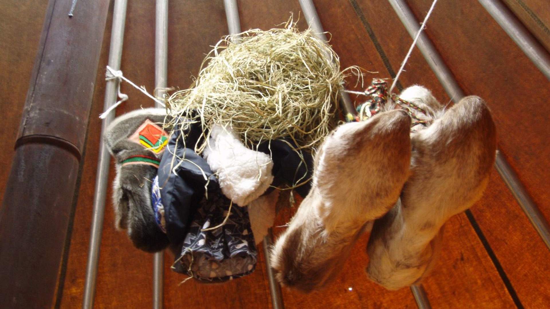 8 days - Sámi reindeer spring migration &#8211; Tour of a lifetime