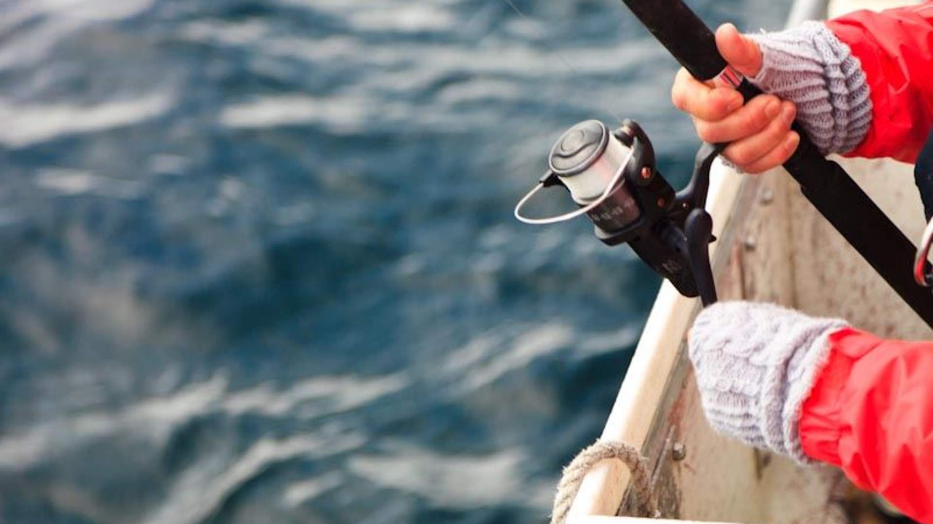 The BIG Fishing Tour