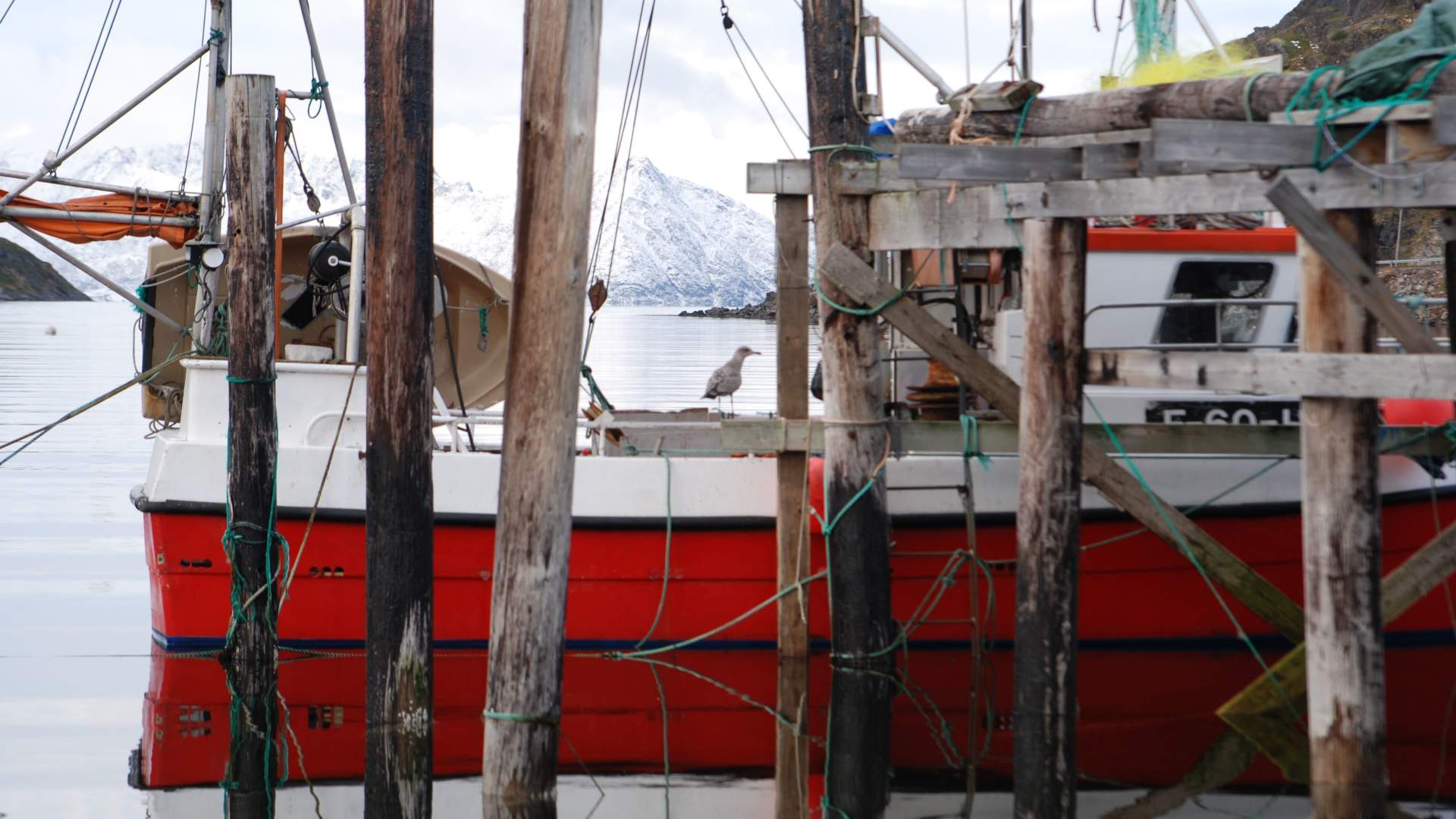 4 Days &#8211; VIP Sailing From Tromsø to Hammerfest