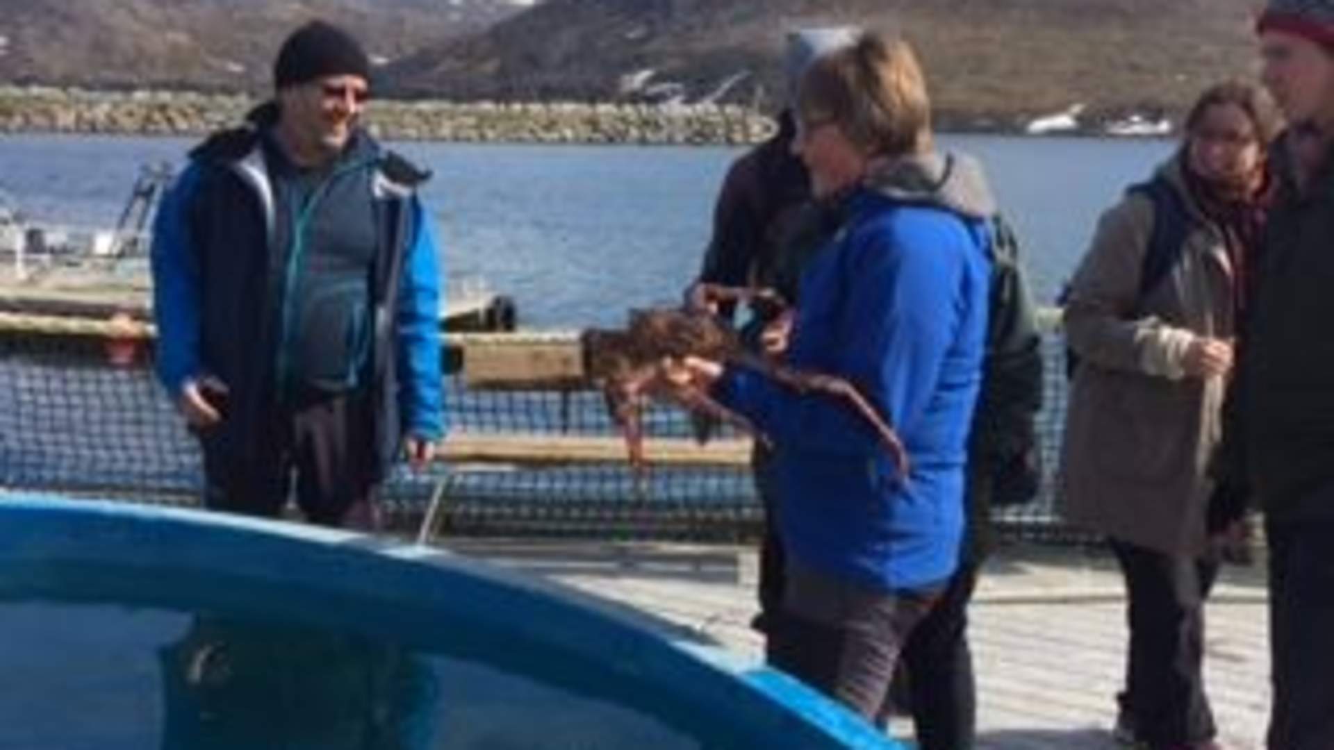 Exclusive taste of the Arctic