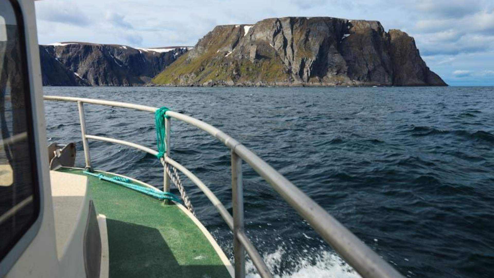 Exclusive taste of the Arctic