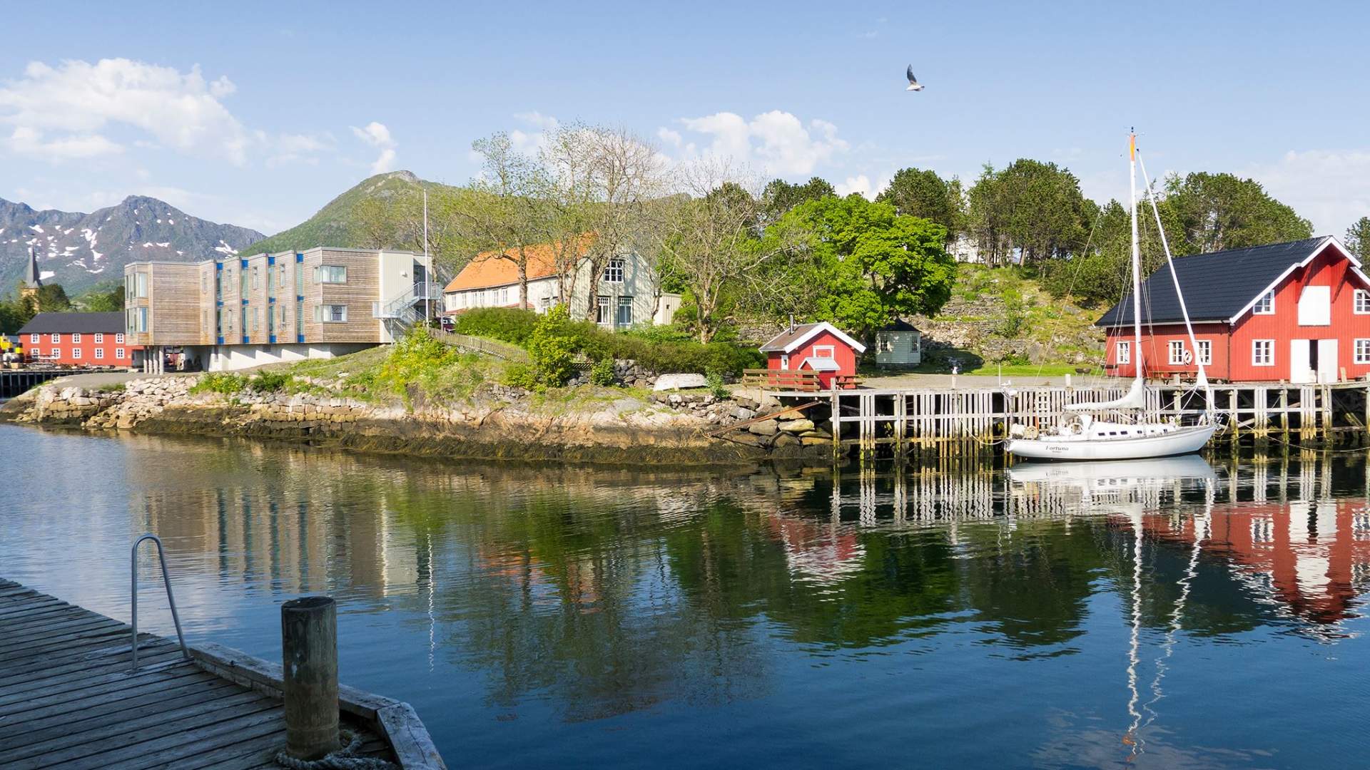 Lofoten sommerhotell /vandrerhjem