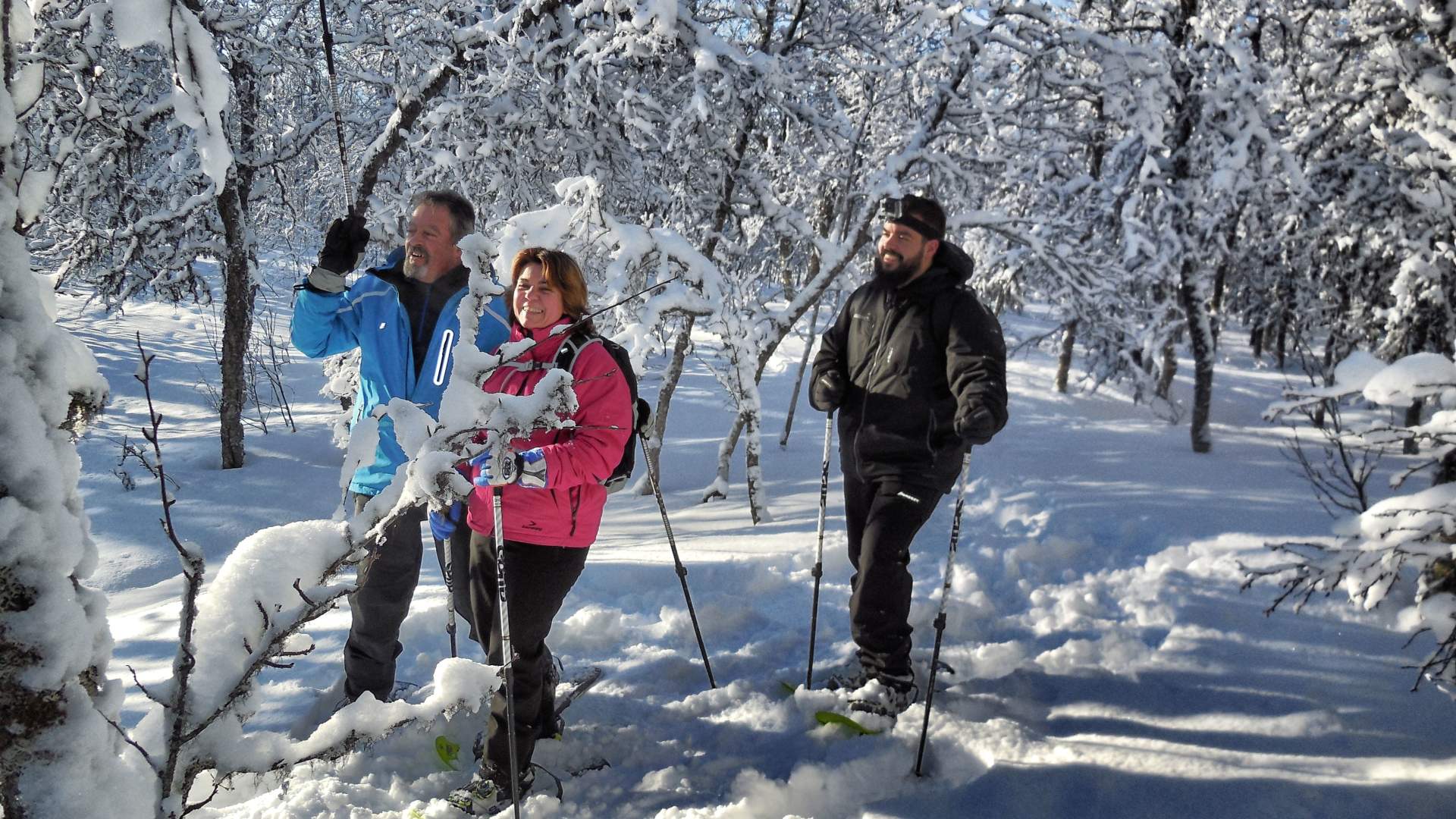 Snowshoe package