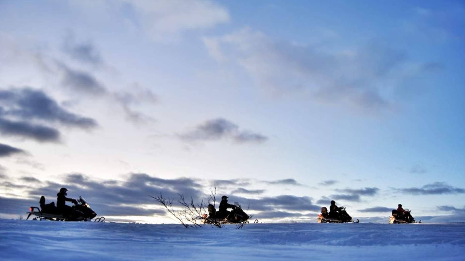 Snøskutersafari Finadit (Svipptur)