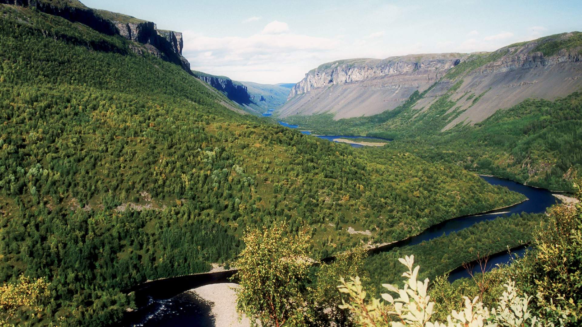 Alta Canyon