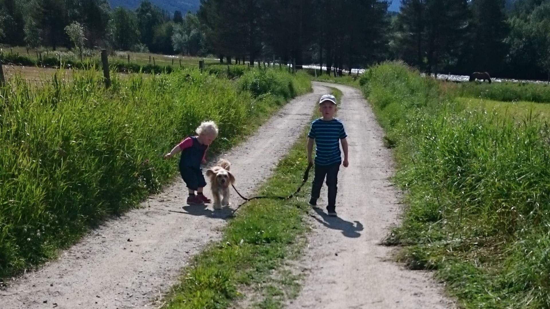 Dovreskogen Camping