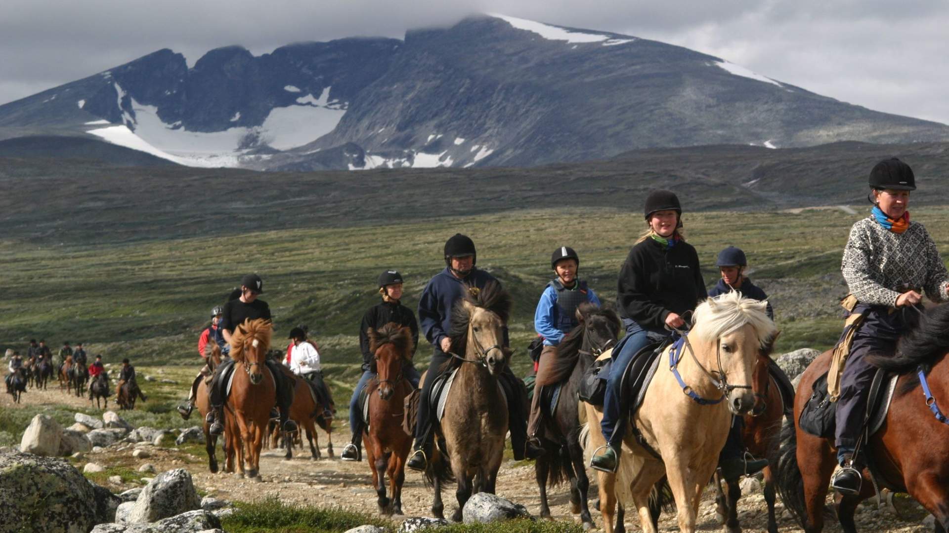 Hjerkinn Fjellstue & Fjellridning