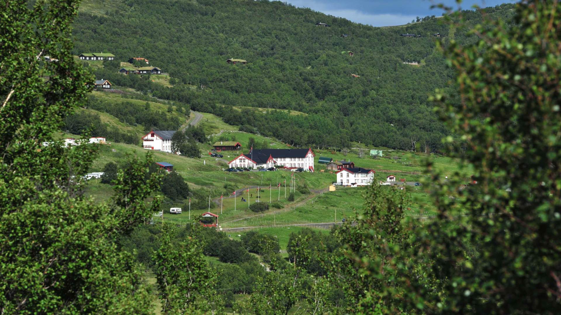 Hjerkinn Fjellstue & Fjellridning