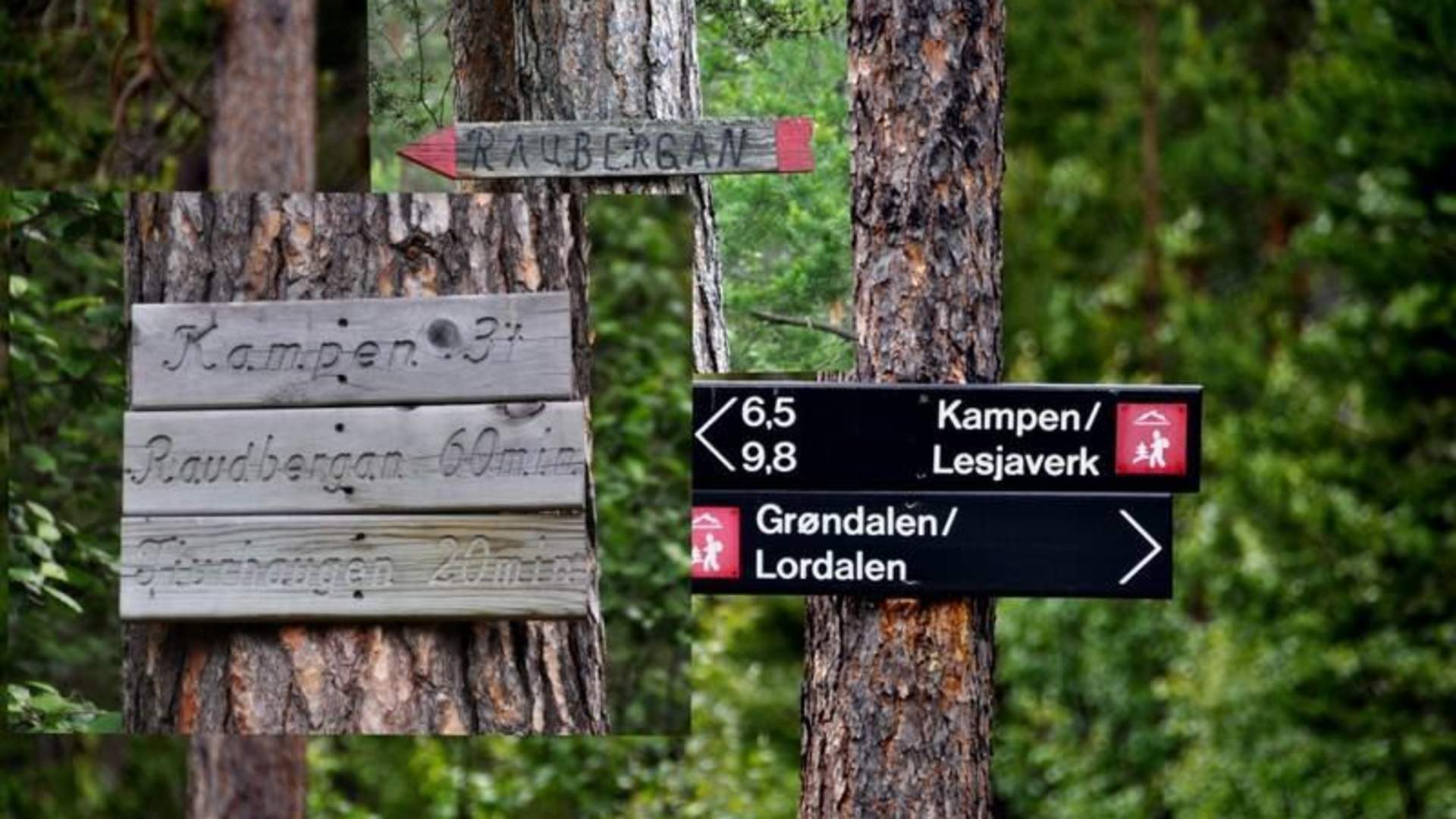 Boat and canoe rental at Lesjaskogvatnet