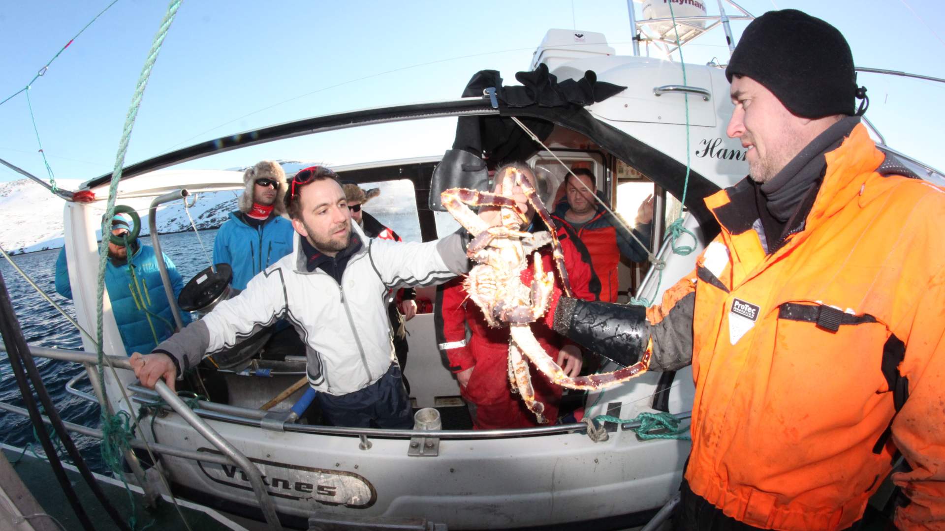 King crab & wildlife safari