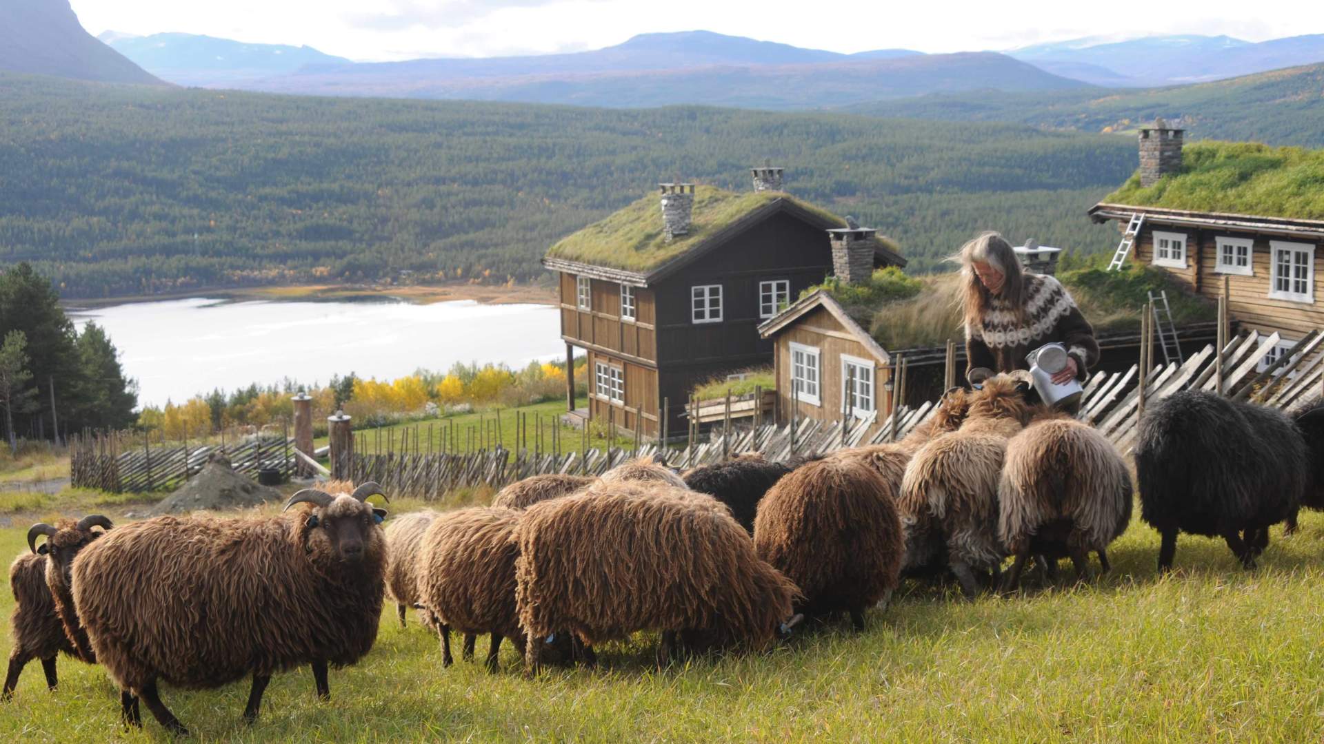 Glittersjå mountain farm
