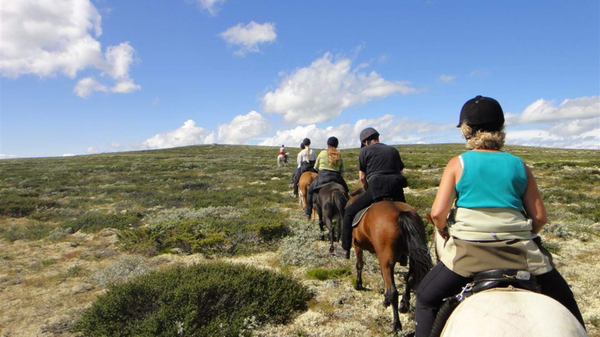 Enjoy the beauty of the Norwegian Mountains!