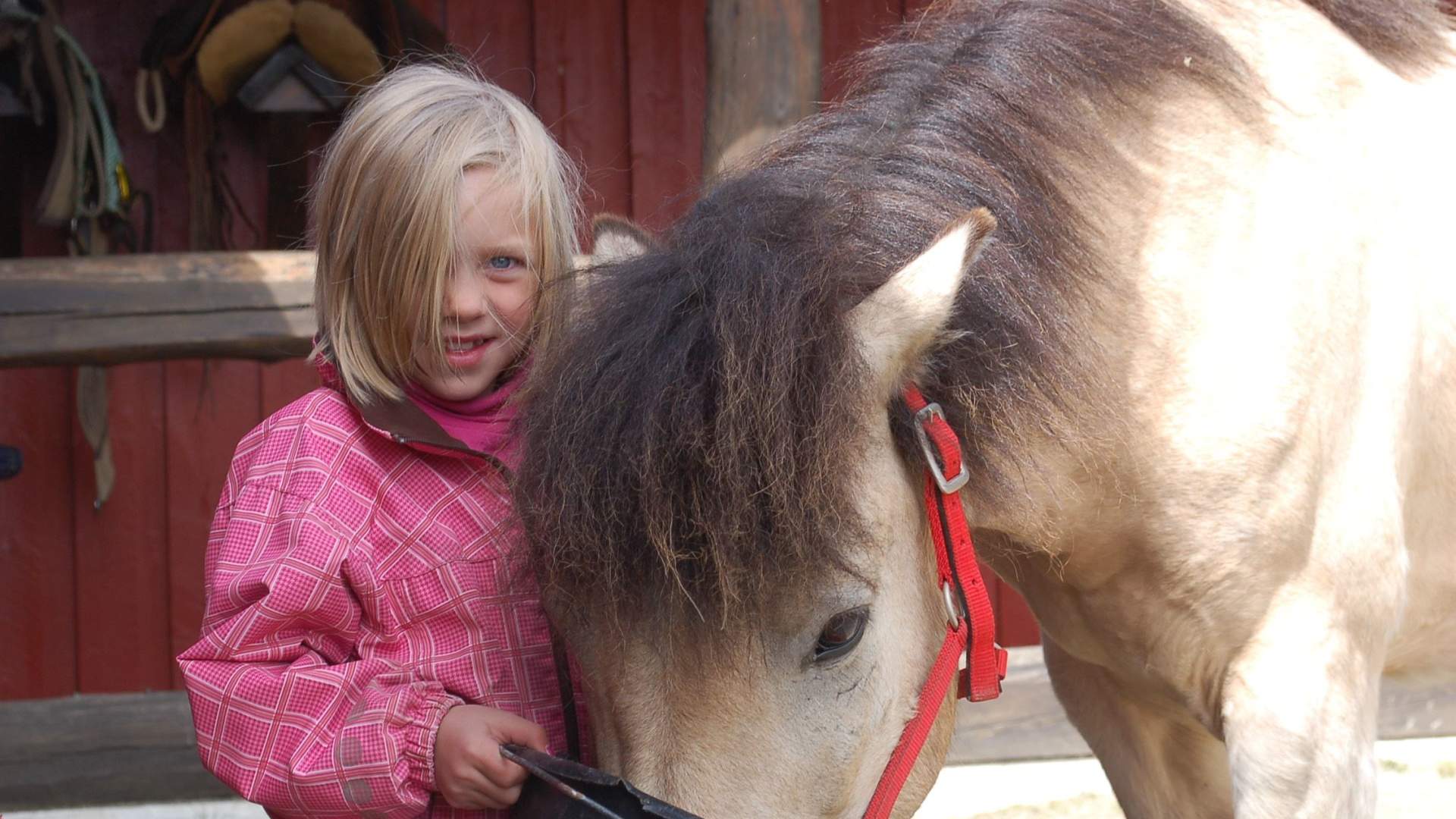 Enjoy the beauty of the Norwegian Mountains!