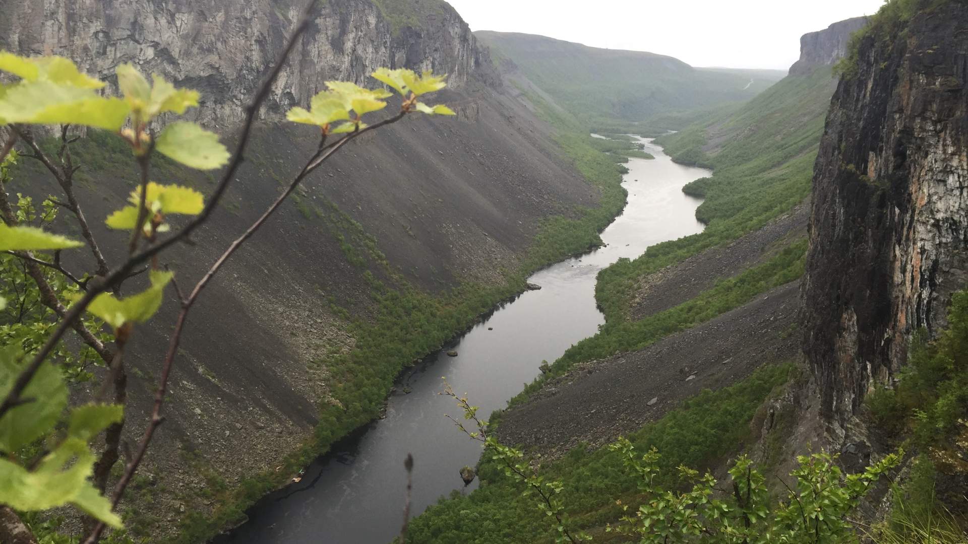 Alta Canyon