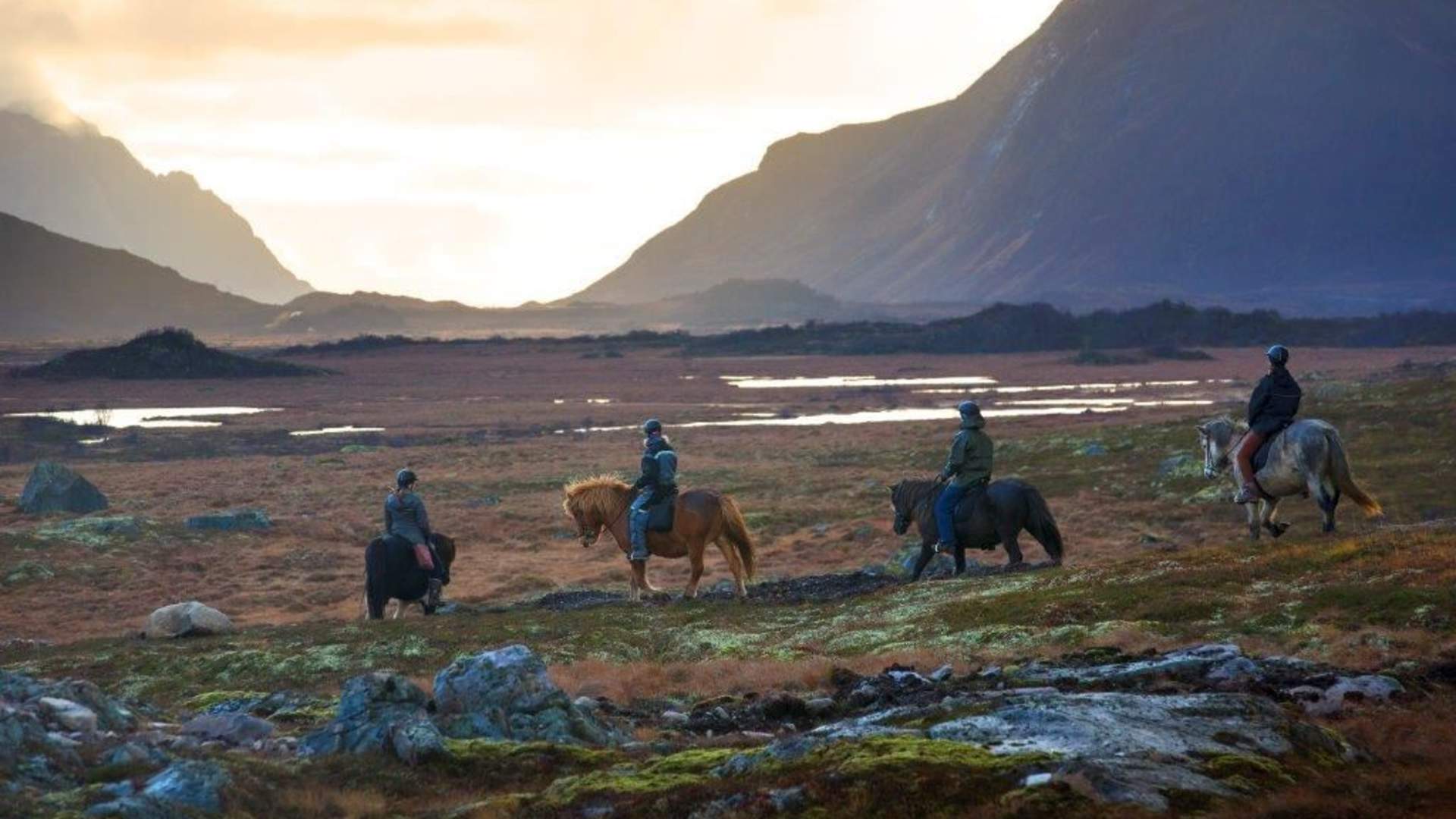 Viking Tour