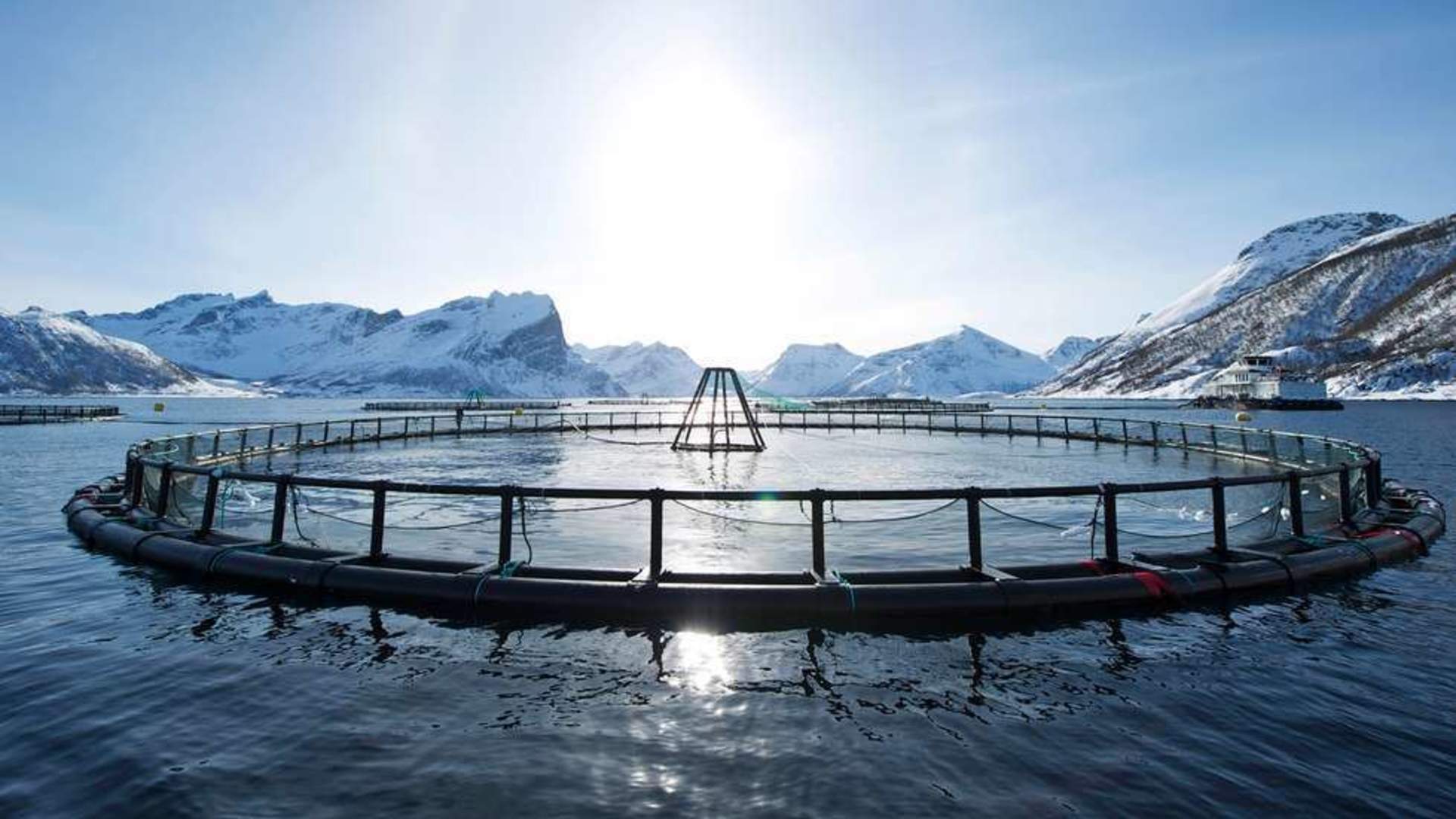 Salmon Center Bodø - learn about Norwegian Aquaculture