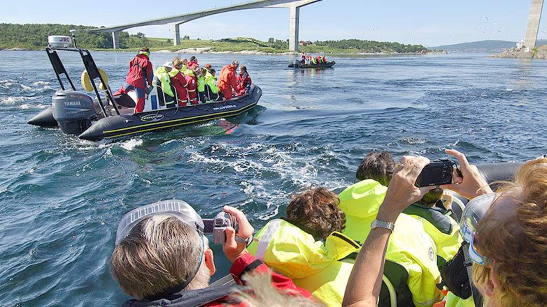 RIB-tur til Saltstraumen