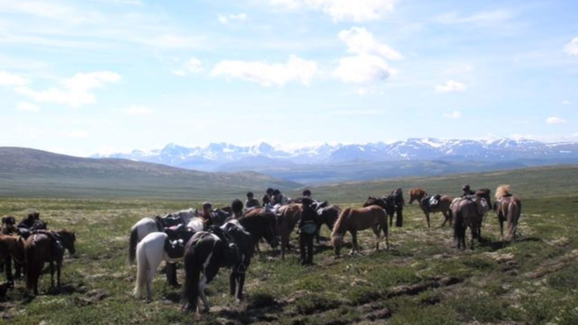 Enjoy the beauty of the Norwegian Mountains!