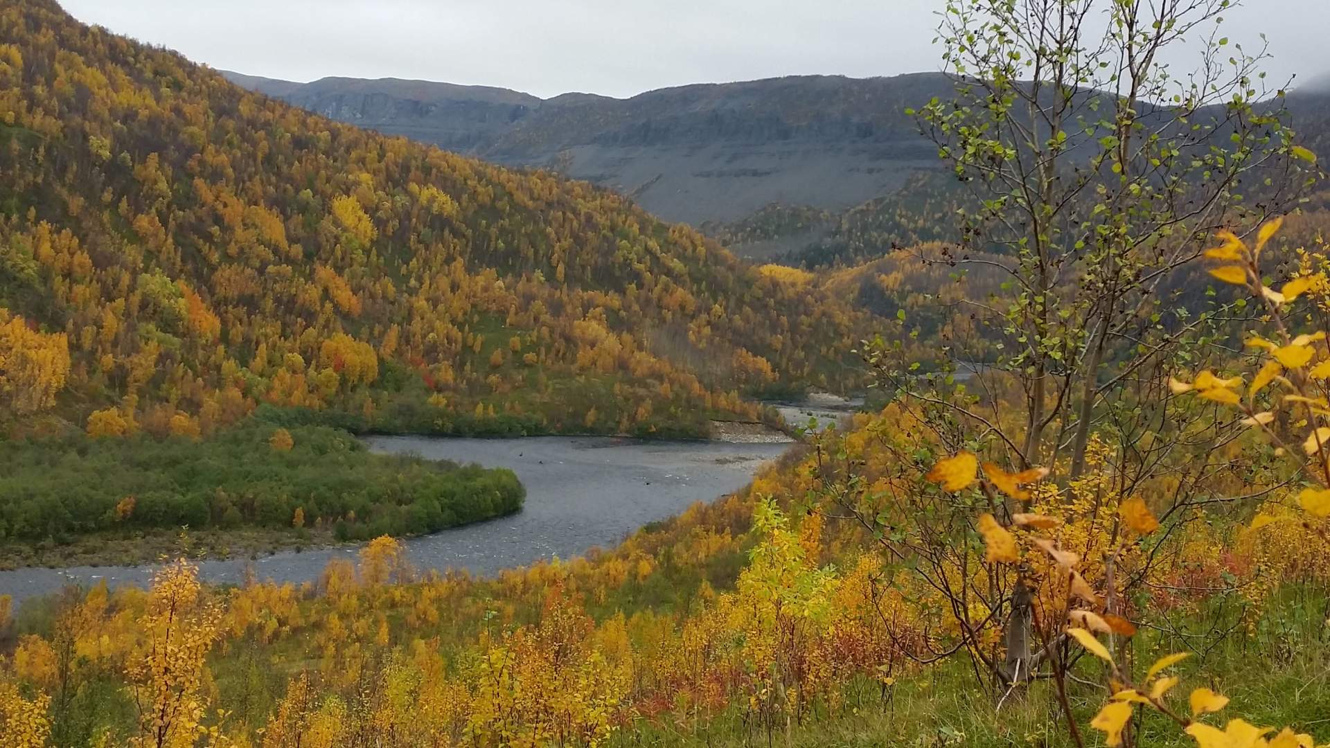 Alta Canyon