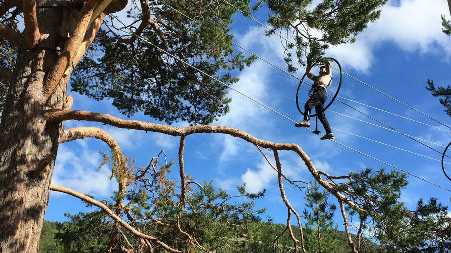 Tree top adventure park