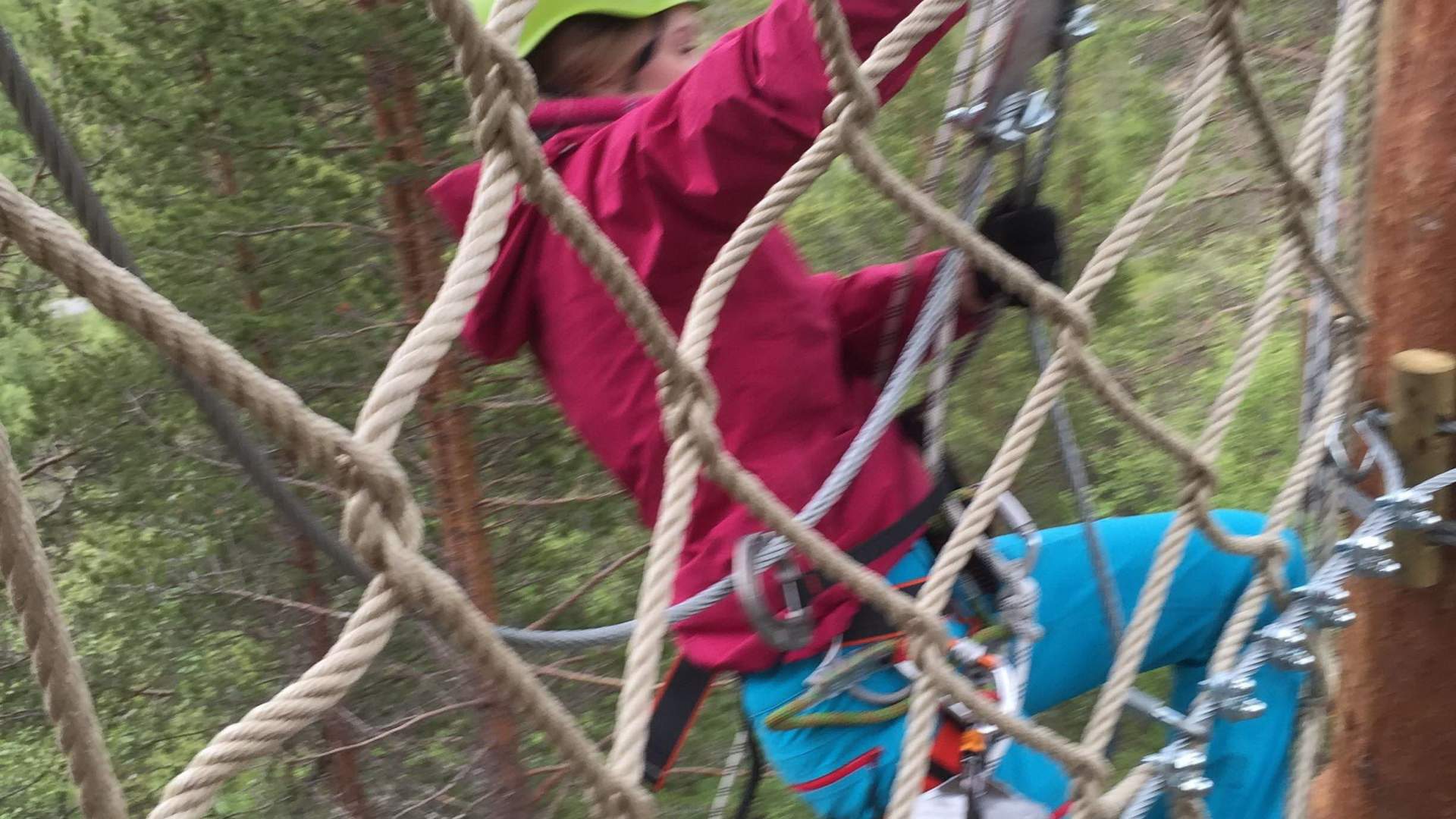 Tree top adventure park