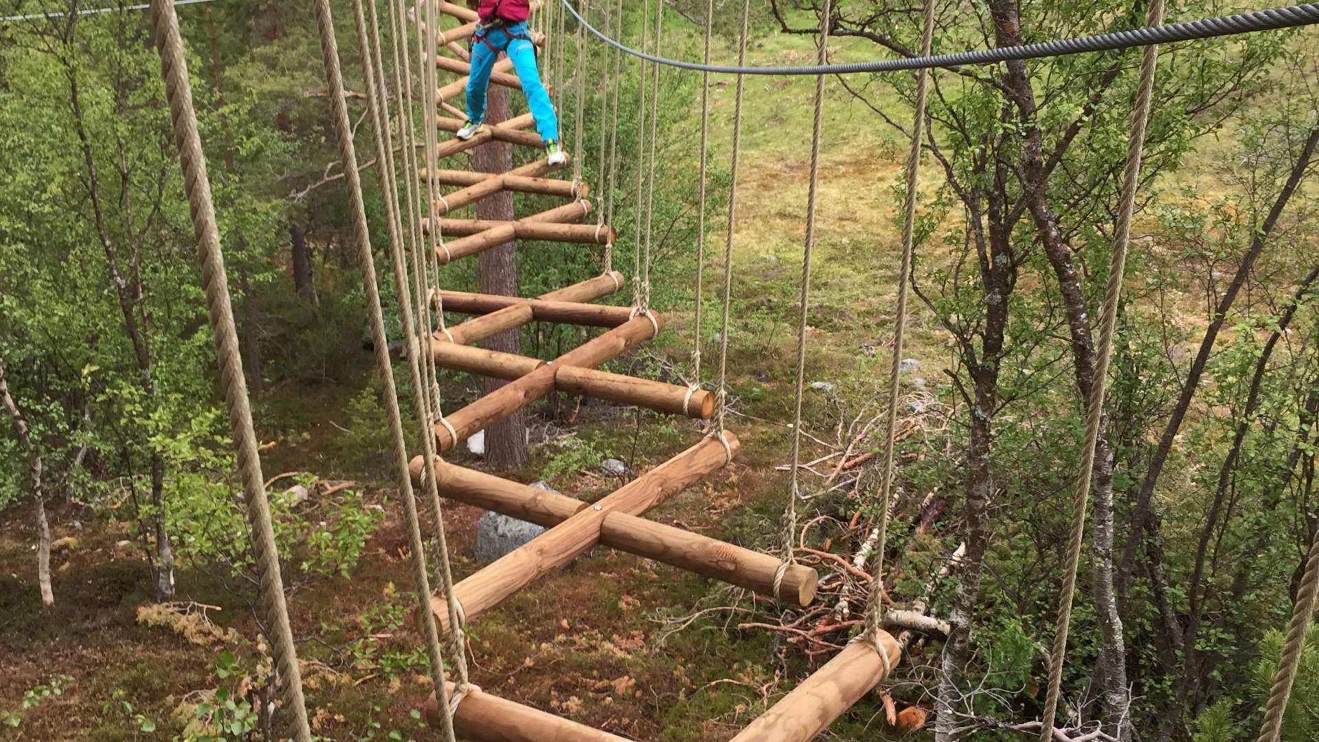 Tree top adventure park