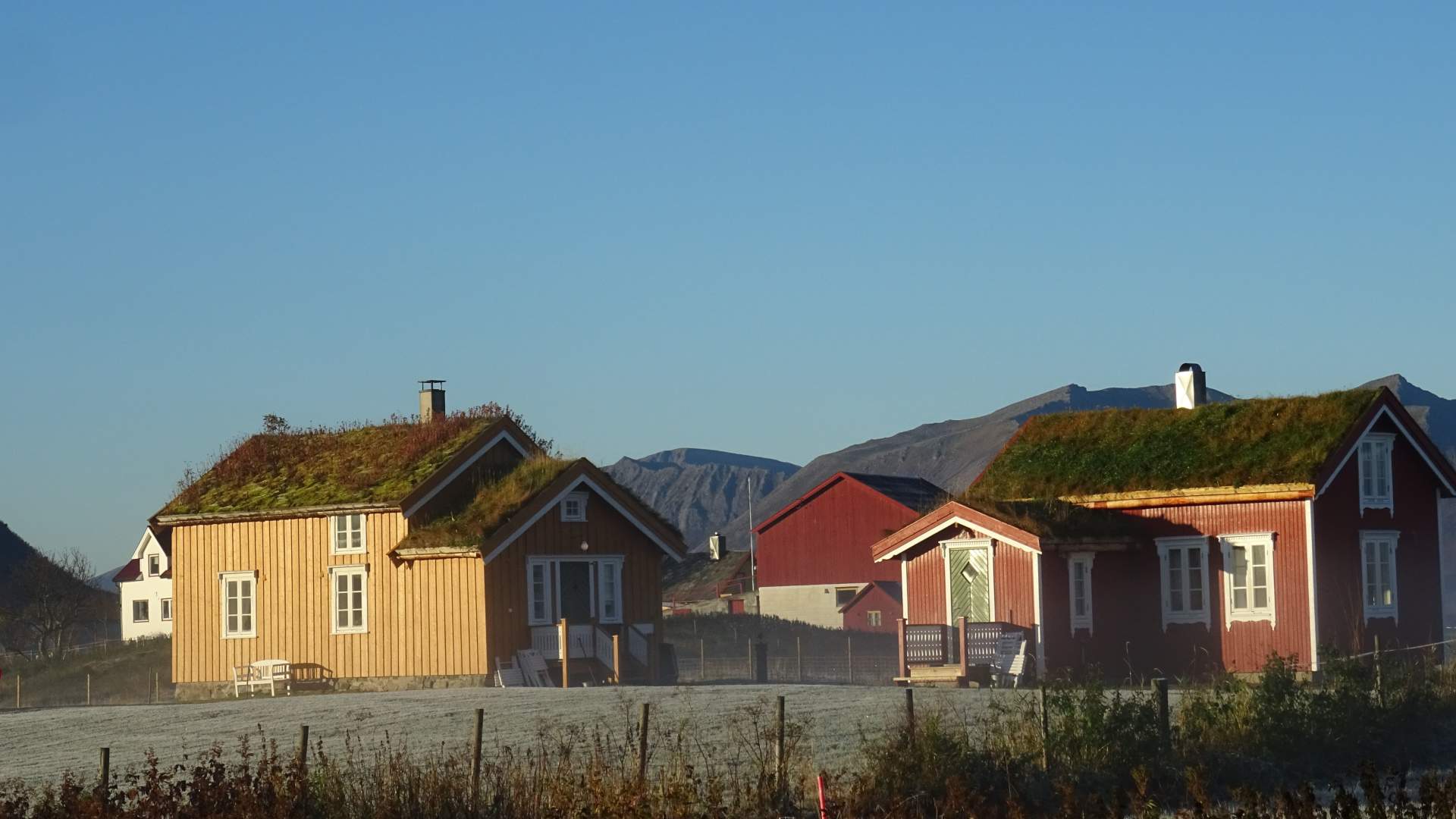 Loviktunet høst