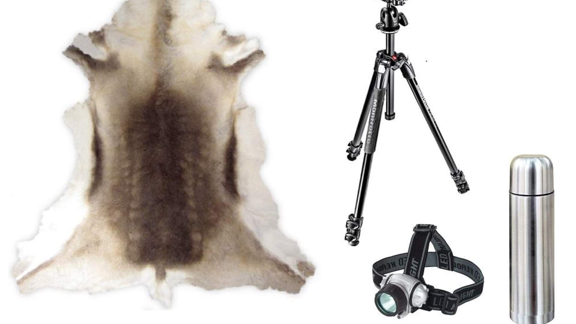Northern Lights Package - tripod, thermos, headlight and reindeer hide rentals