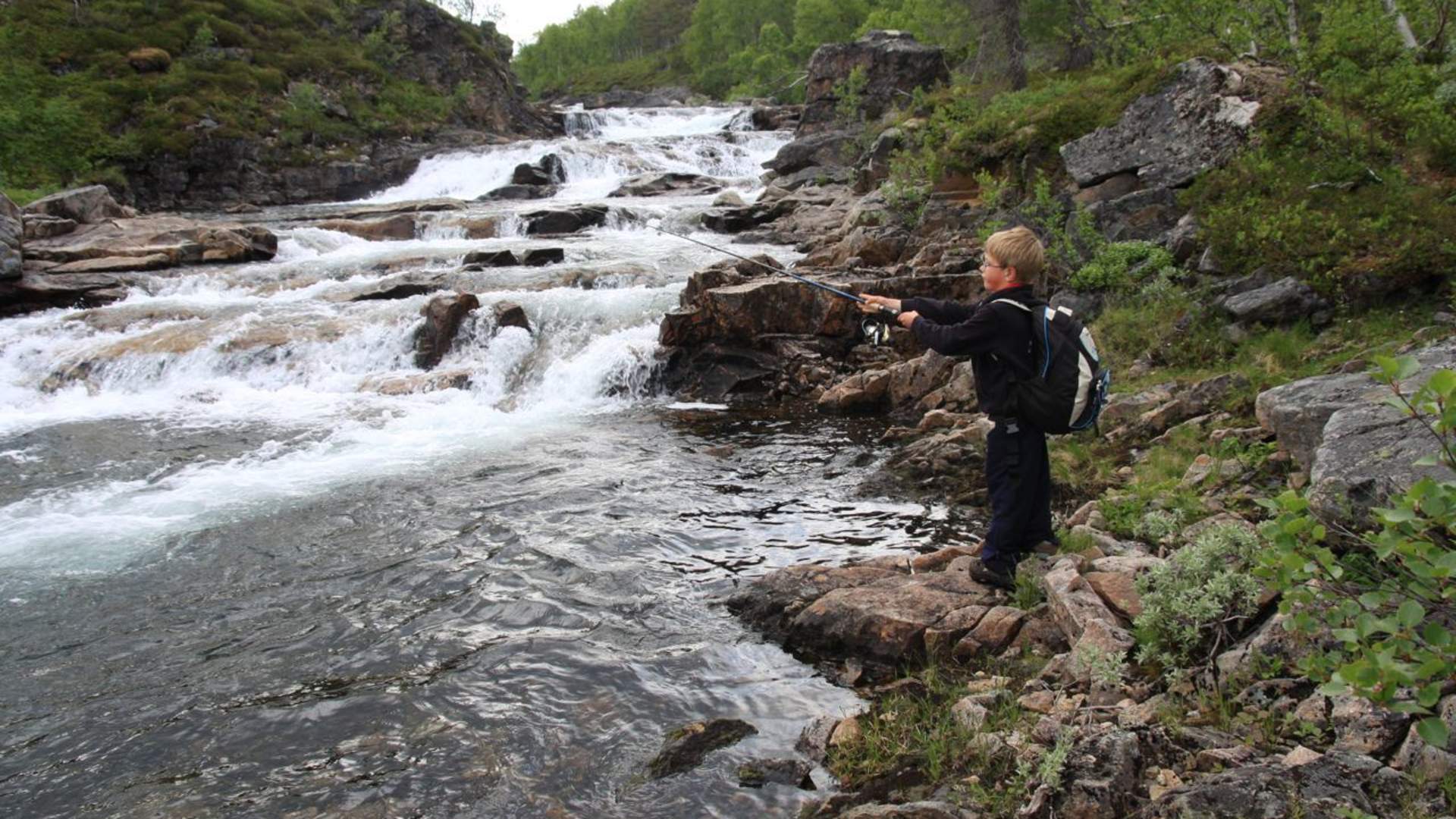 The Ånderdalen National Park &#8211; adventurous wilderness