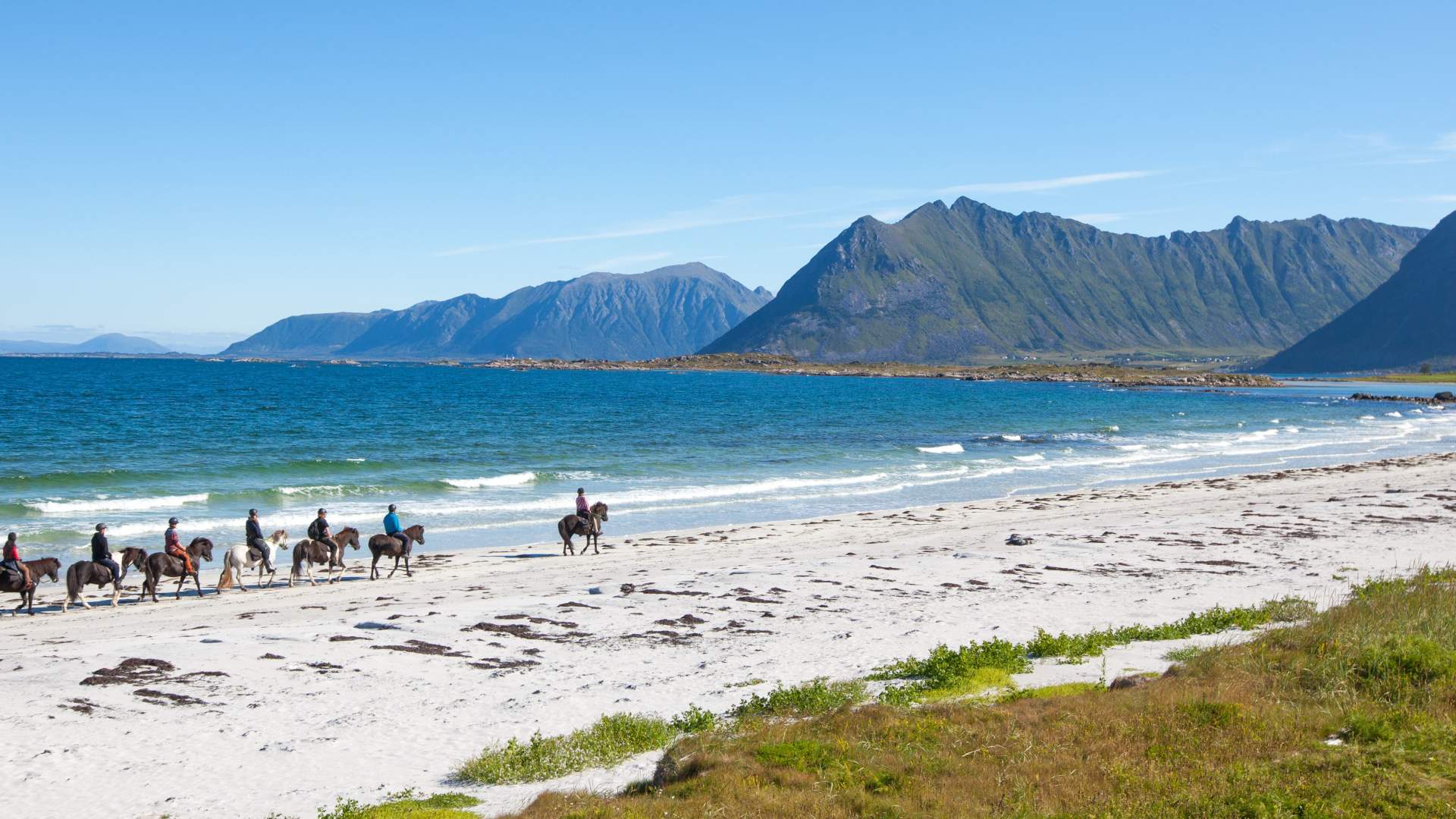 Half Day Tour (4 hours) - Horsebackriding on Icelandic Horses in Lofoten (copy)